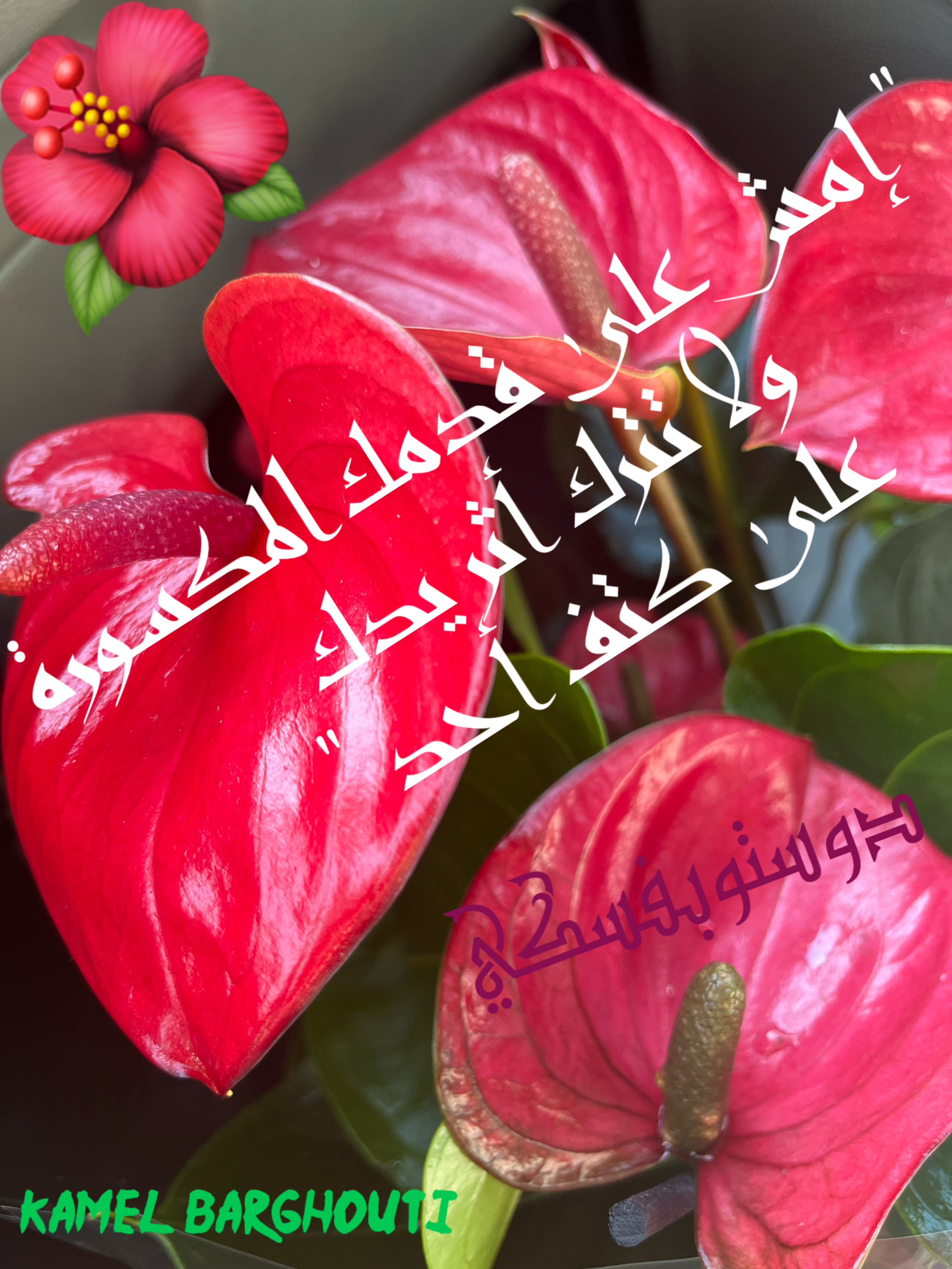 فخر وكرامة – اقتباس 46