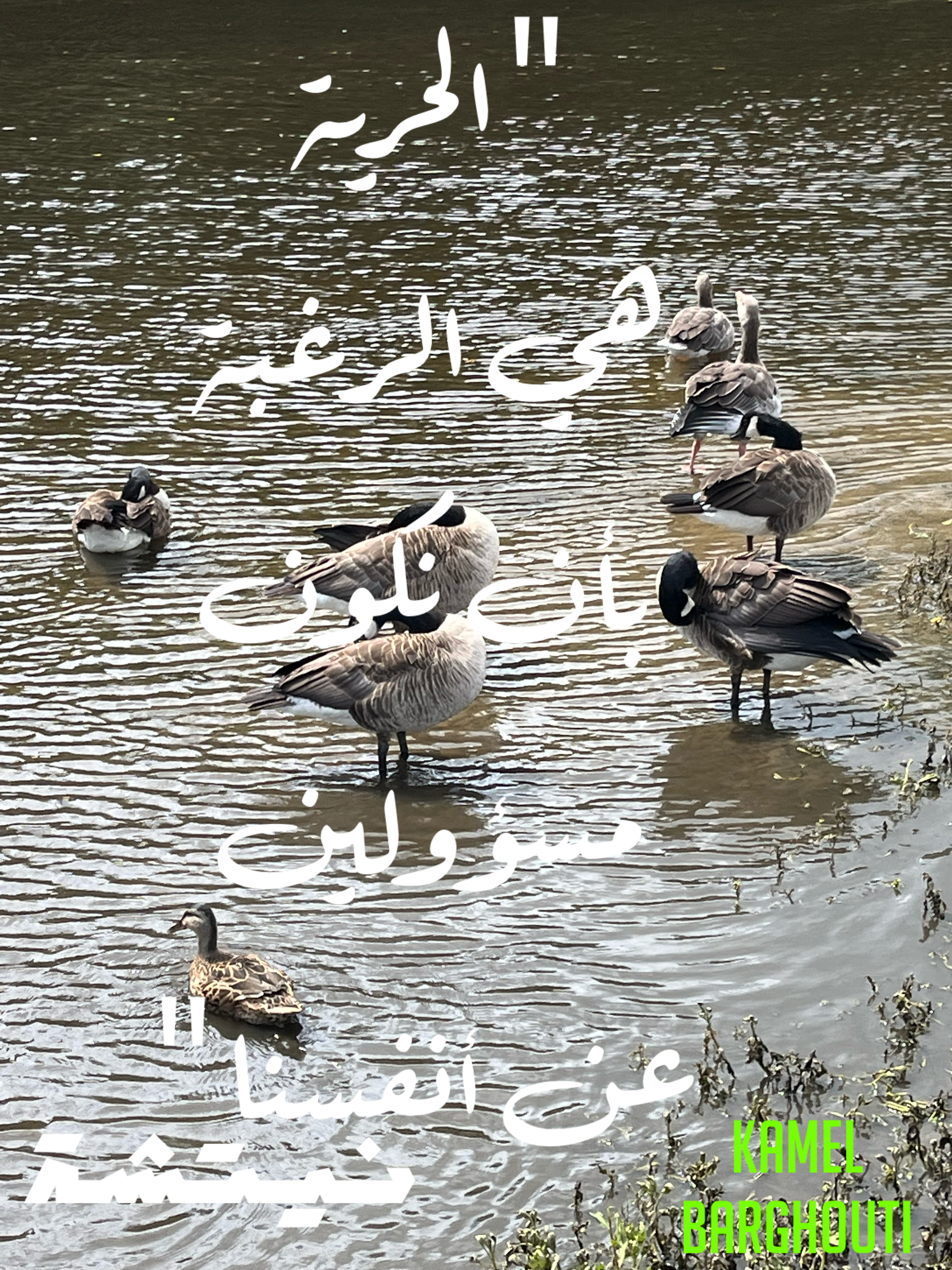 فخر وكرامة – اقتباس 44