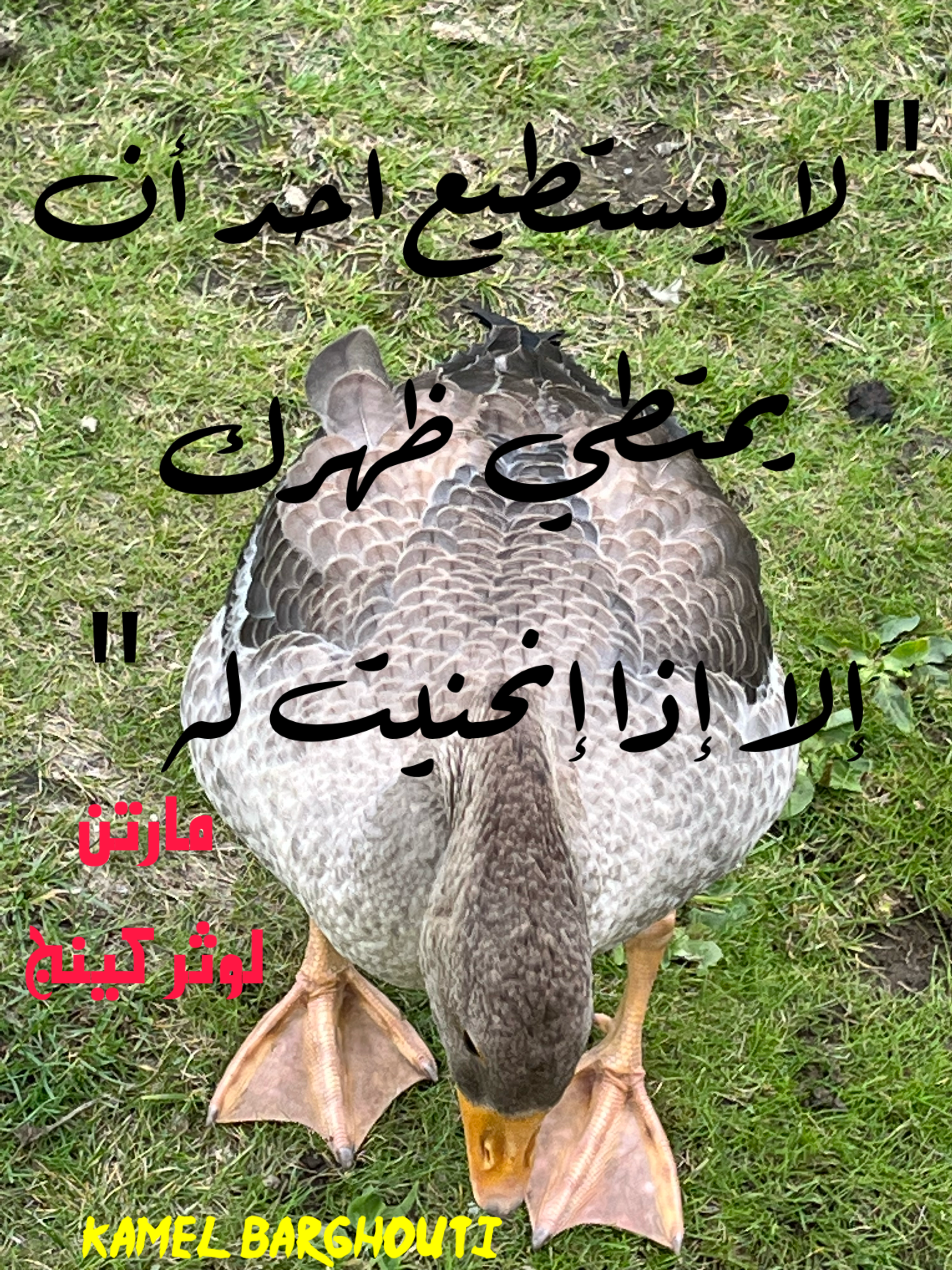فخر وكرامة – اقتباس 25