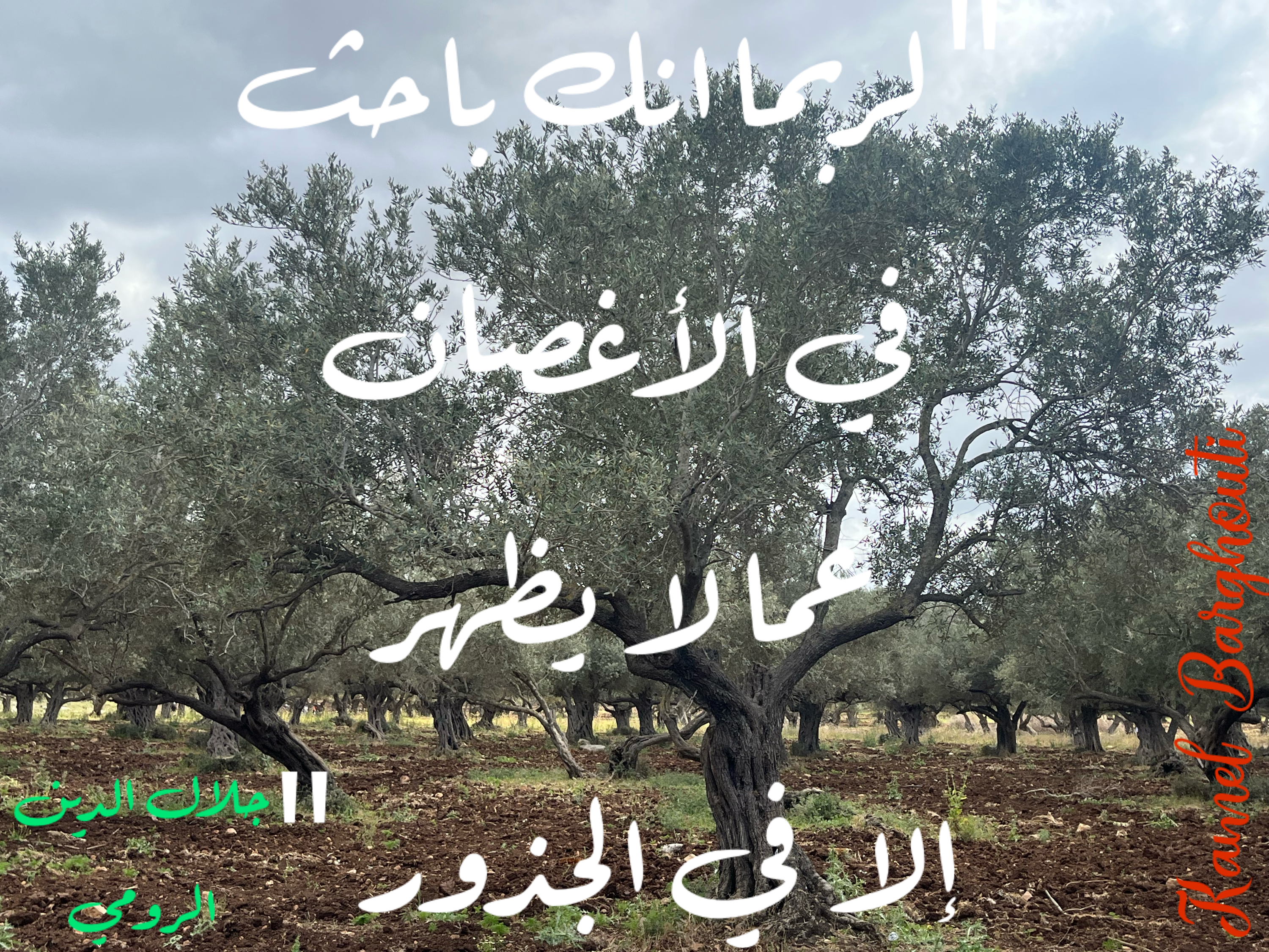 فخر وكرامة – اقتباس 26