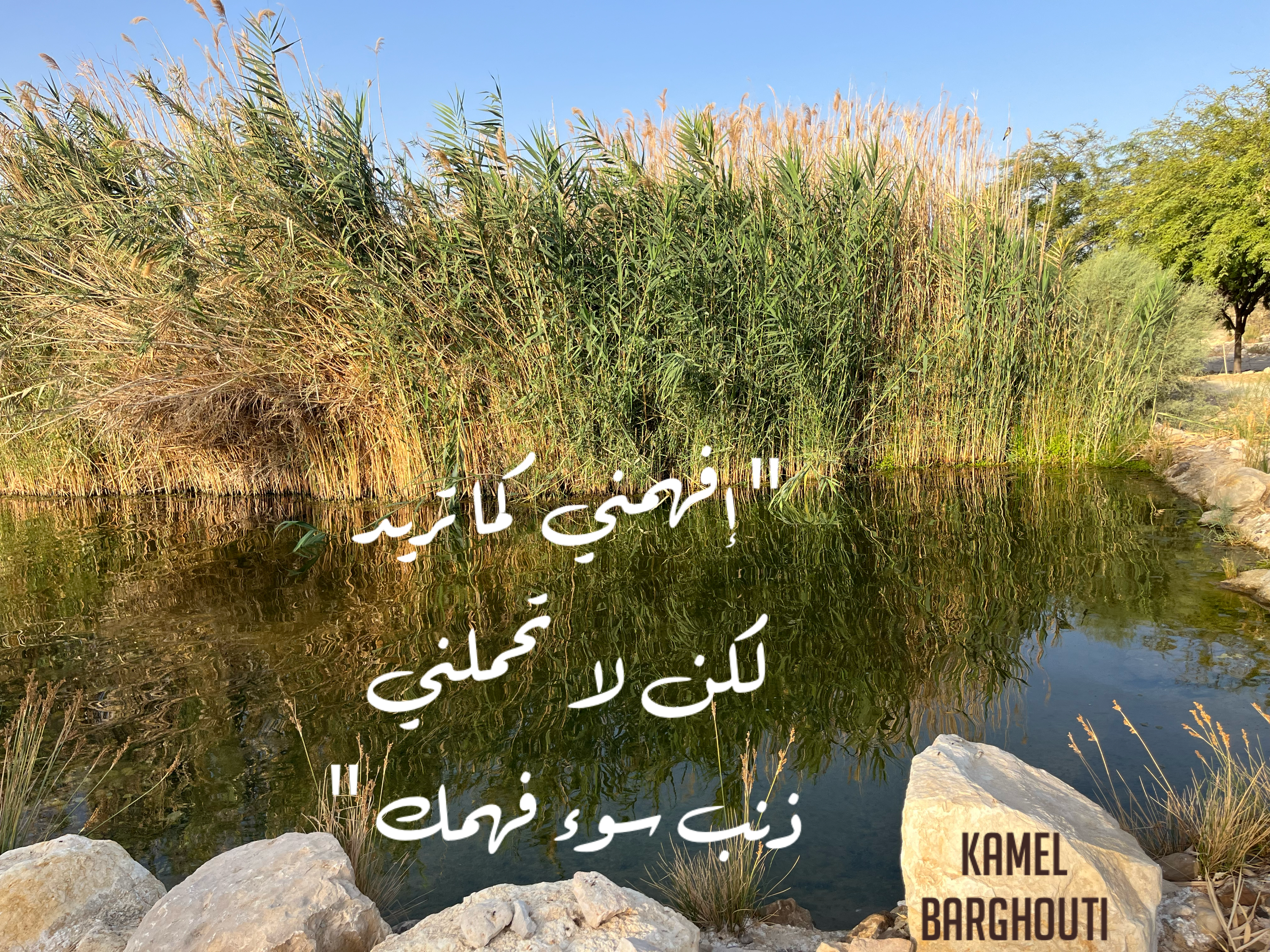 فخر وكرامة – اقتباس 20