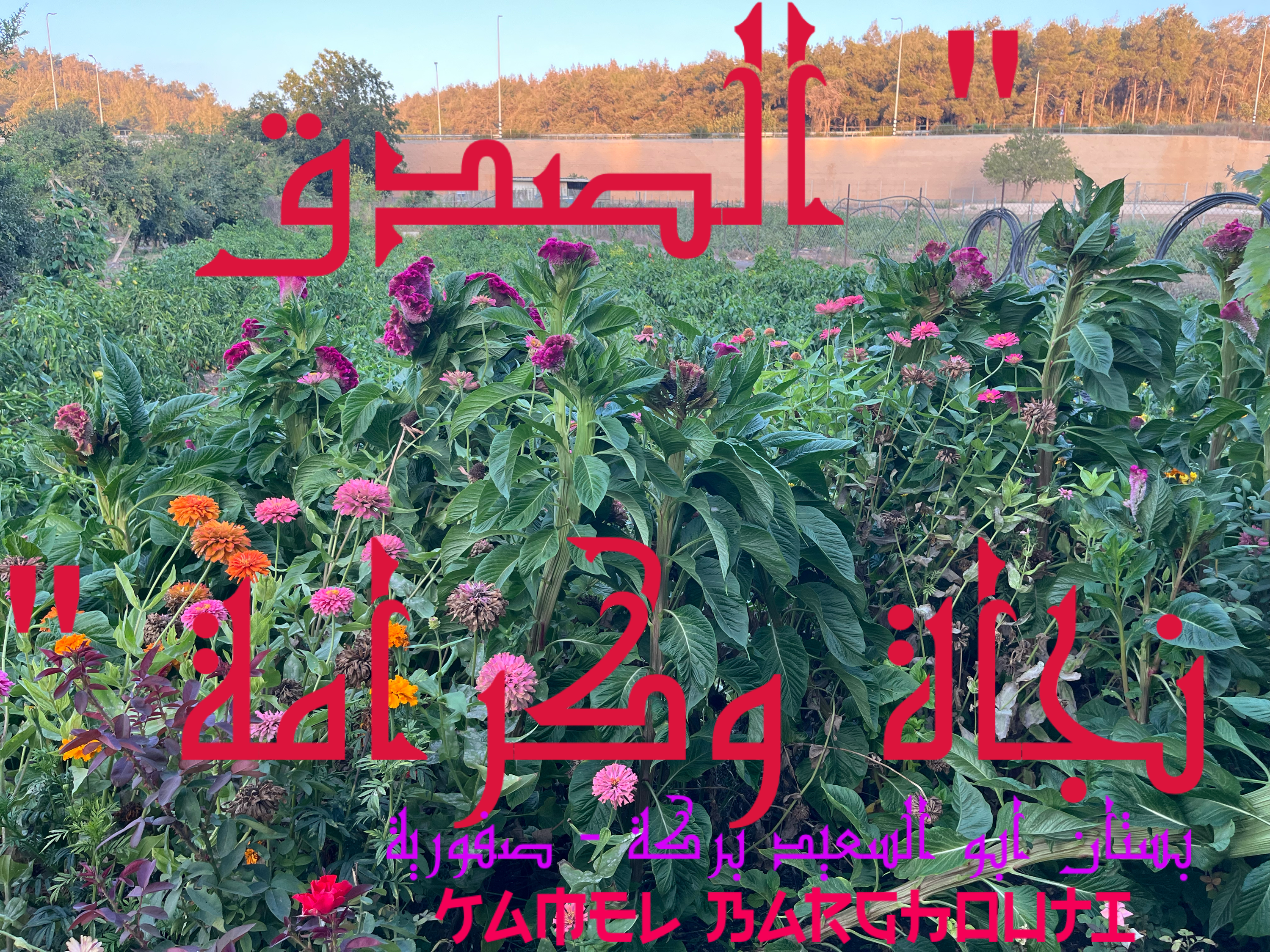 فخر وكرامة – اقتباس 9