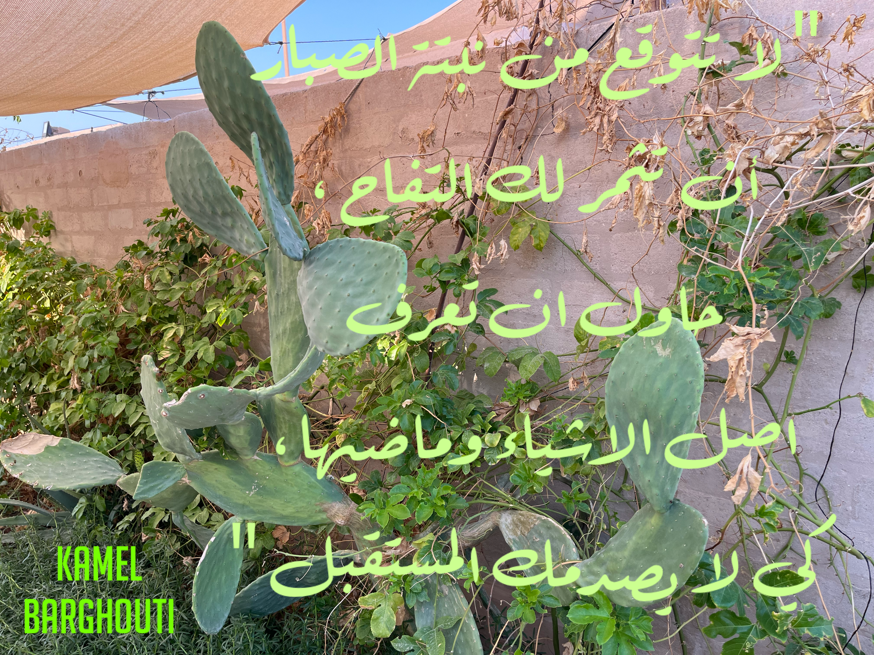 فخر وكرامة – اقتباس 7