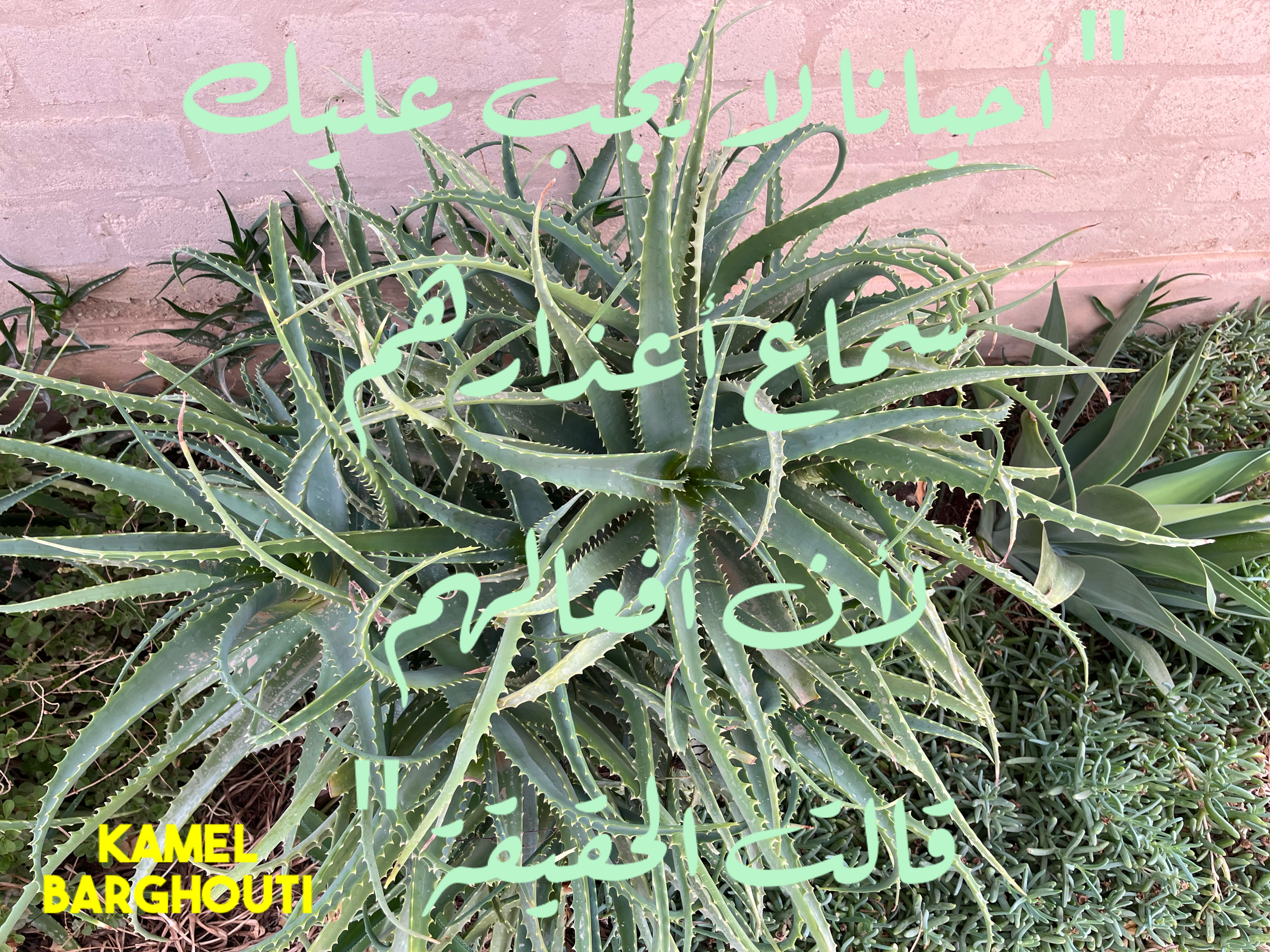 فخر وكرامة – اقتباس 3