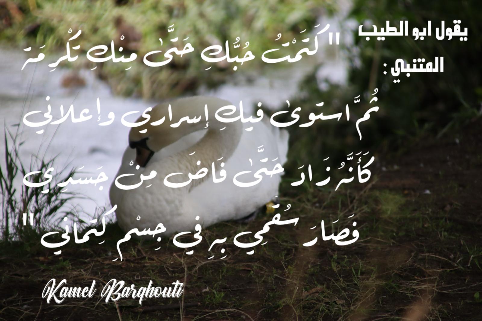 حب وحنين – اقتباس 438