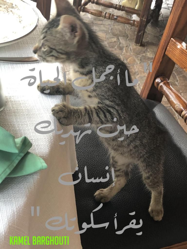 حب وحنين – اقتباس 458