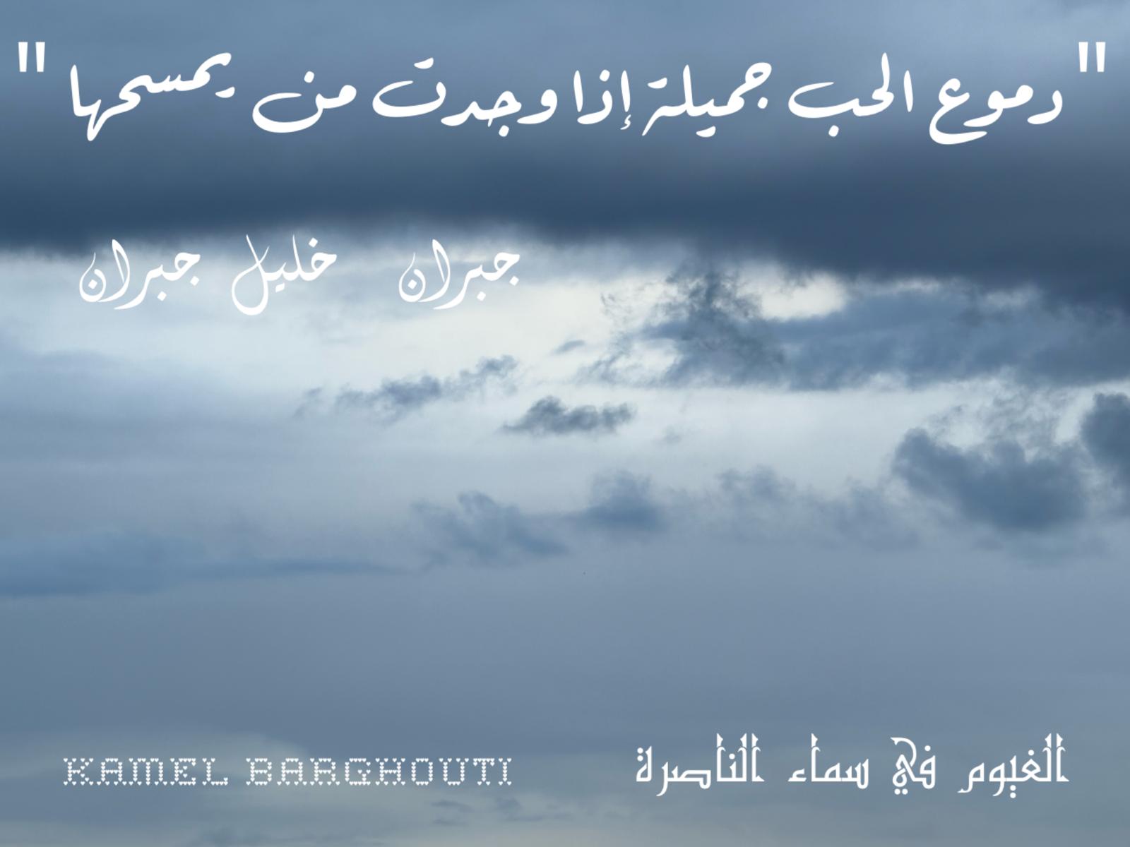 حب وحنين – اقتباس 447