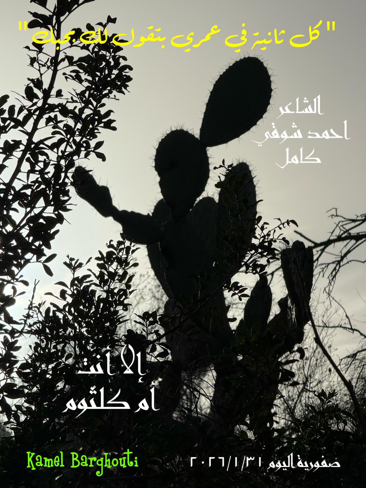 حب وحنين – اقتباس 415