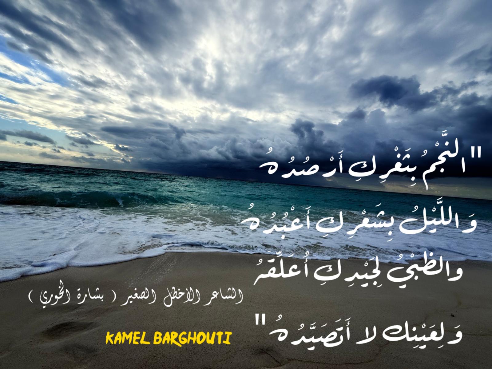 حب وحنين – اقتباس 384
