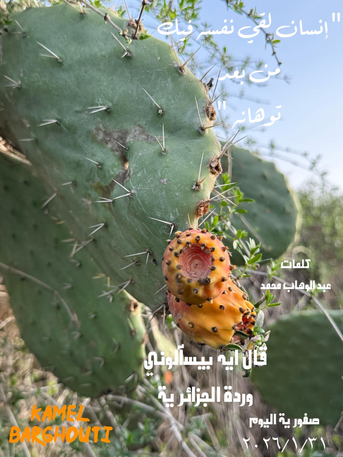 حب وحنين – اقتباس 418