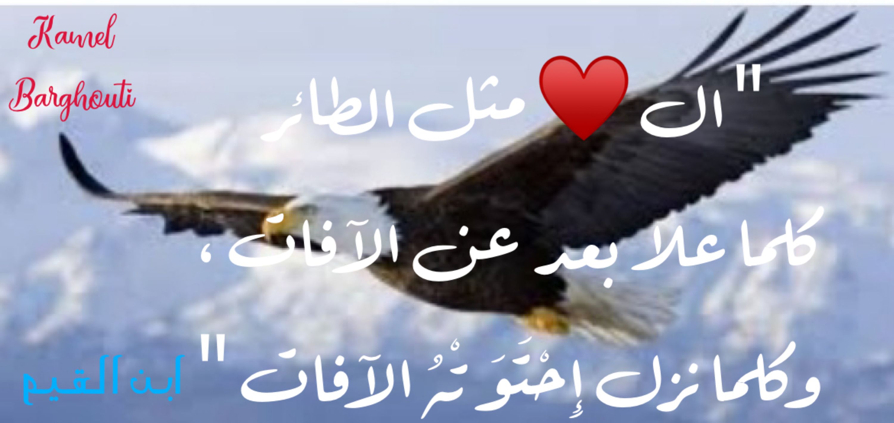 حب وحنين – اقتباس 392