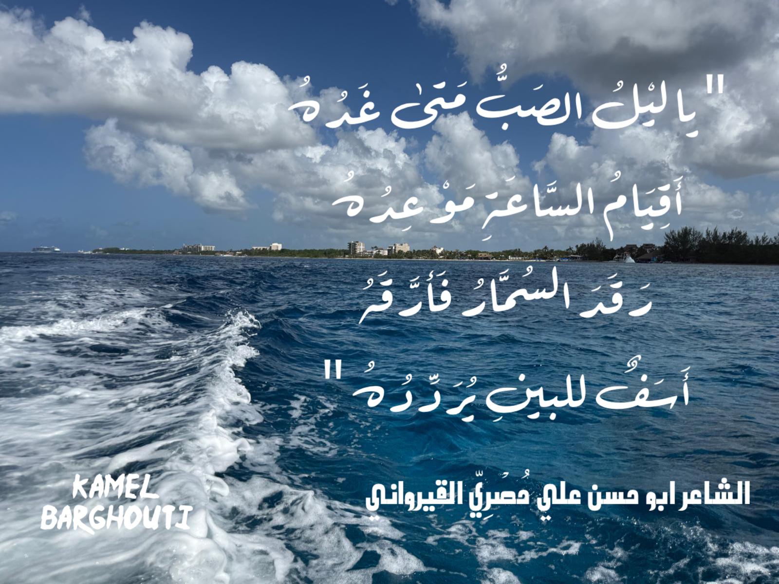 حب وحنين – اقتباس 413