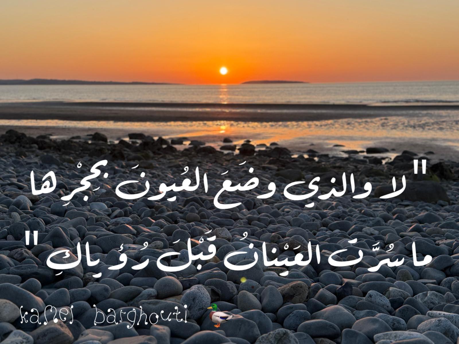 حب وحنين – اقتباس 422