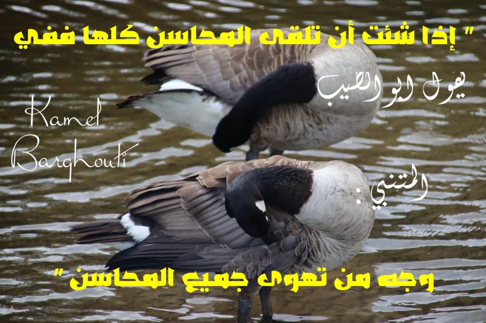 حب وحنين – اقتباس 416