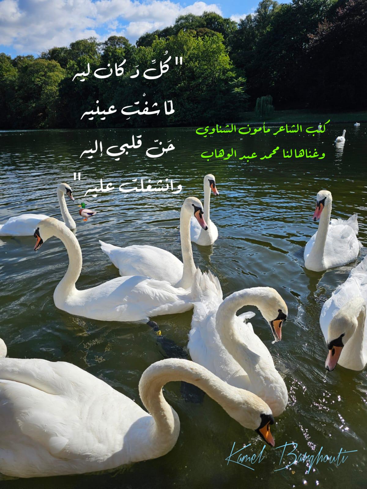 حب وحنين – اقتباس 376