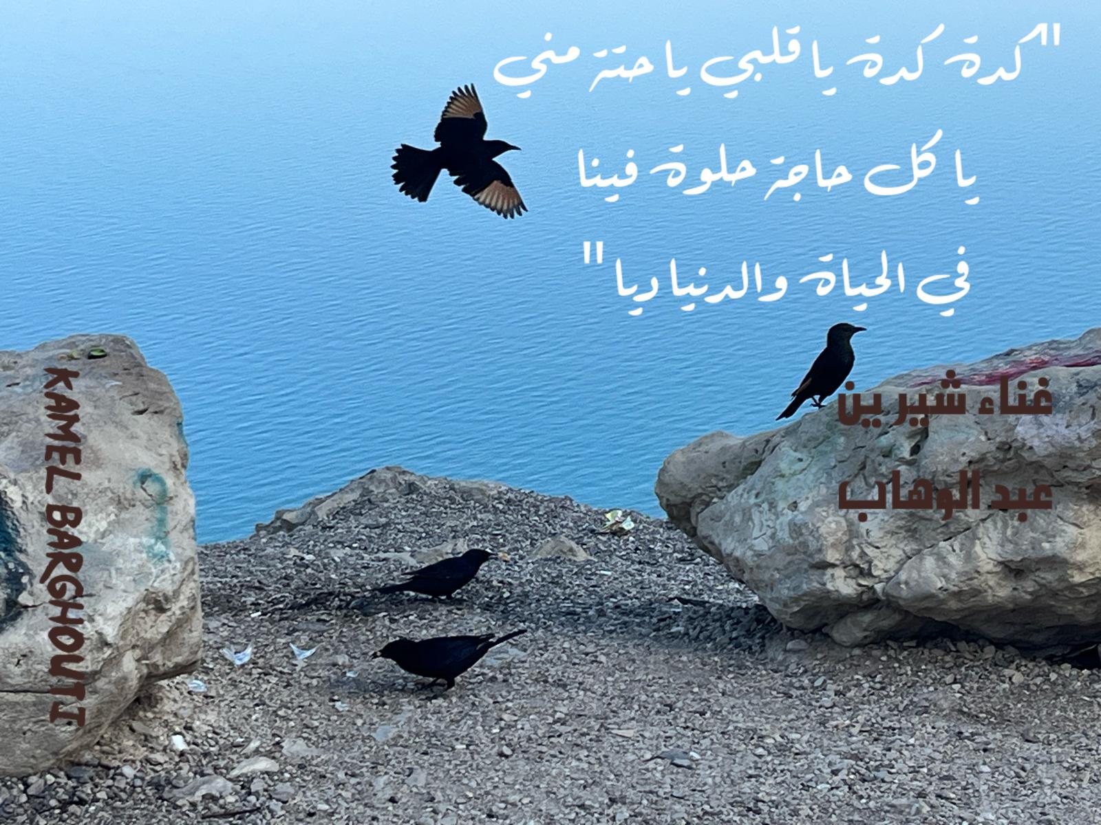 حب وحنين – اقتباس 372