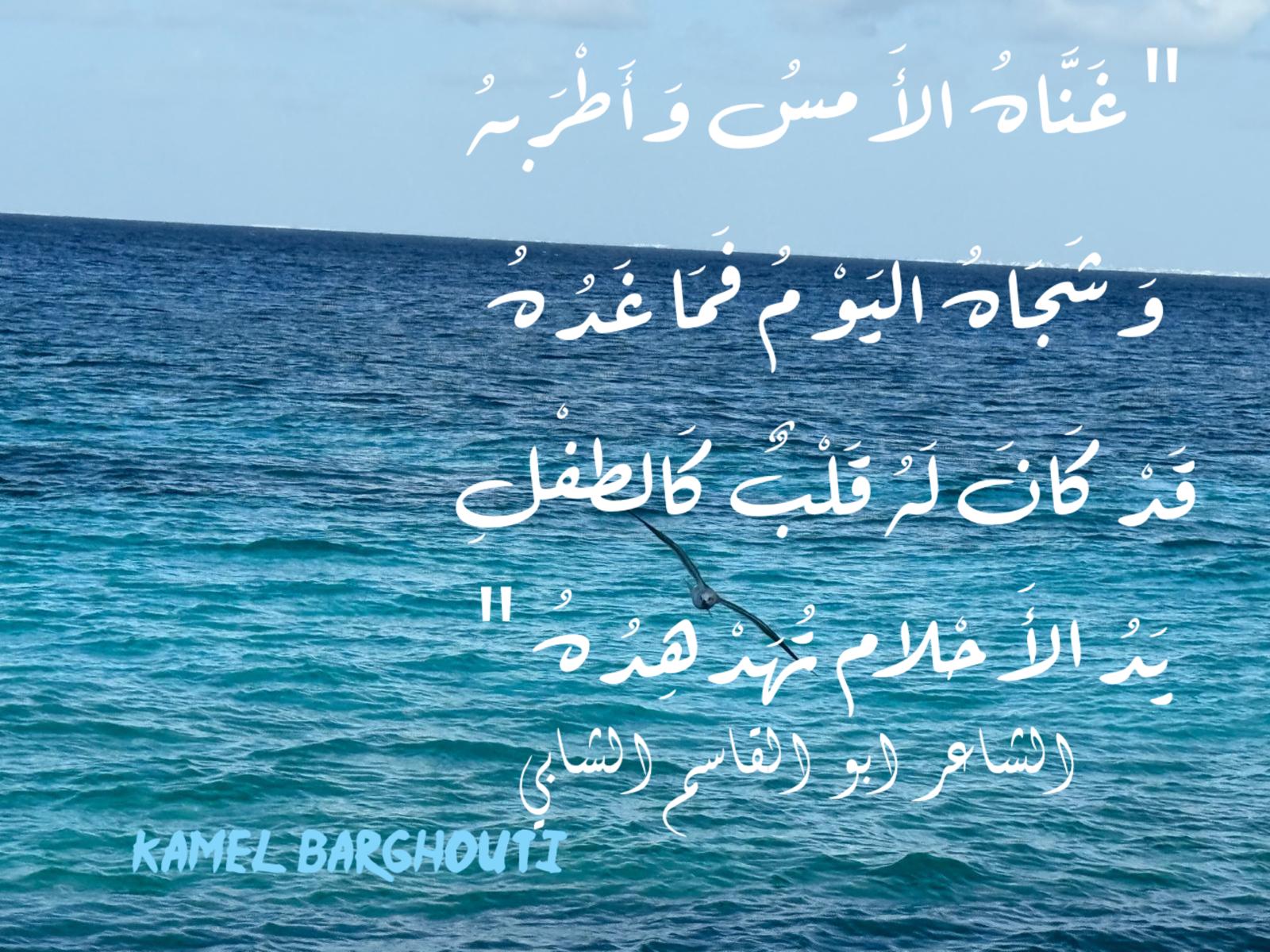 حب وحنين – اقتباس 371