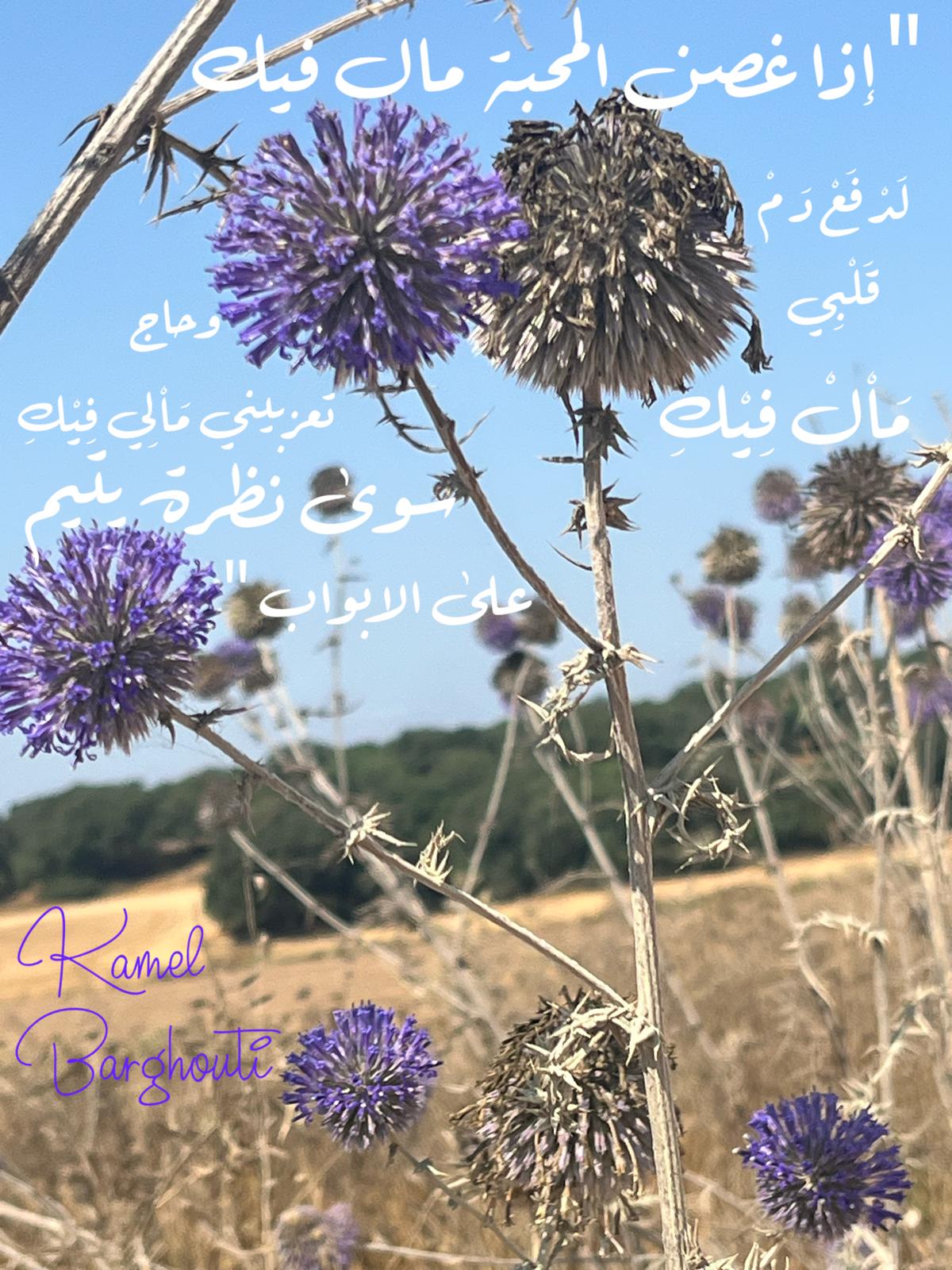 حب وحنين – اقتباس 361