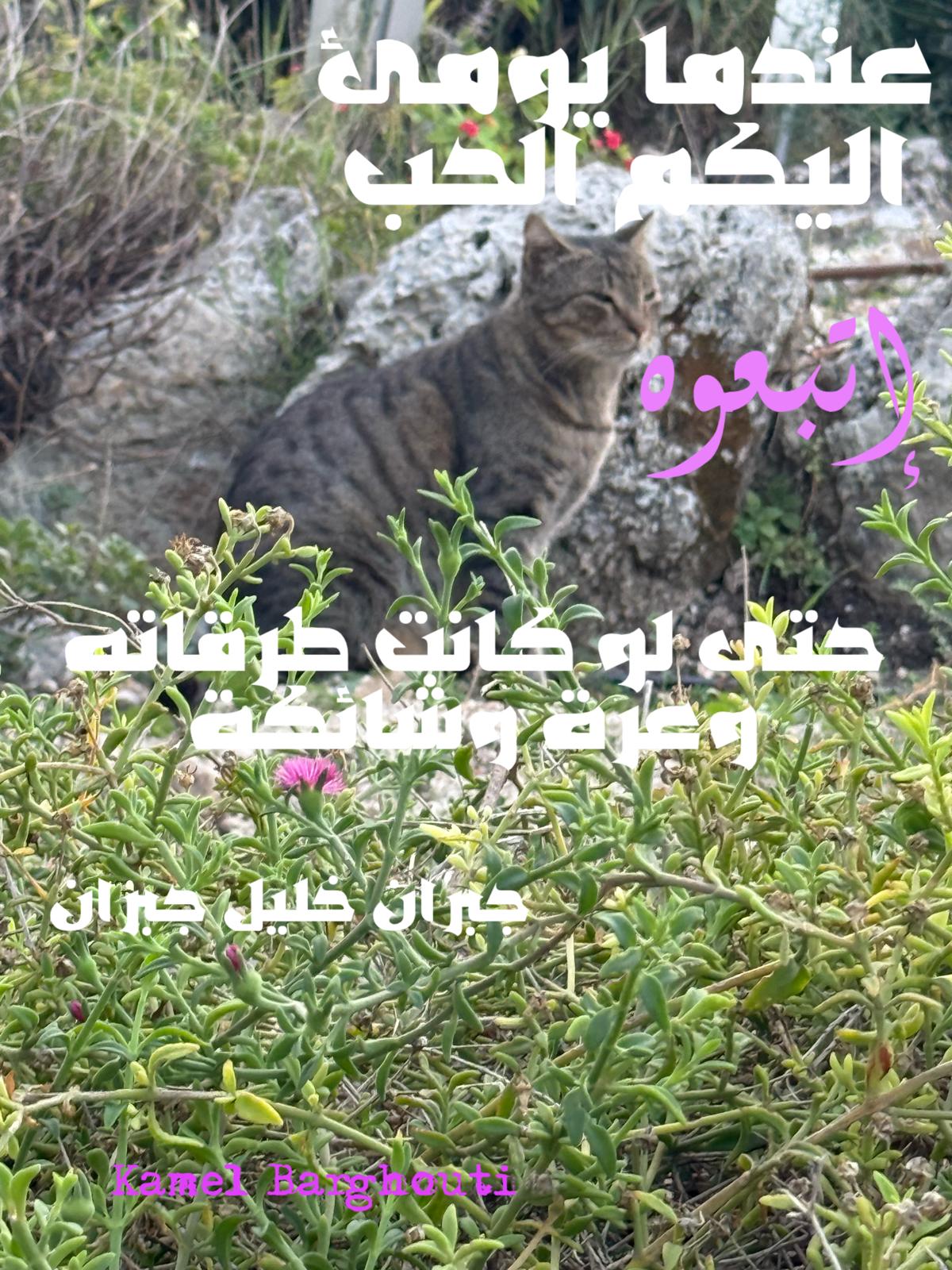 حب وحنين – اقتباس 341