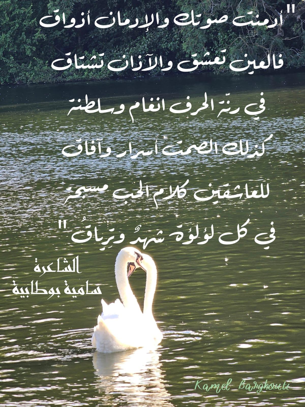حب وحنين – اقتباس 321