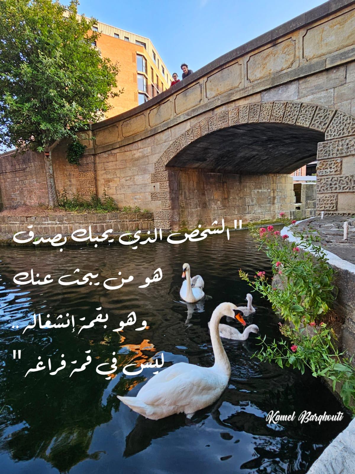 حب وحنين – اقتباس 342