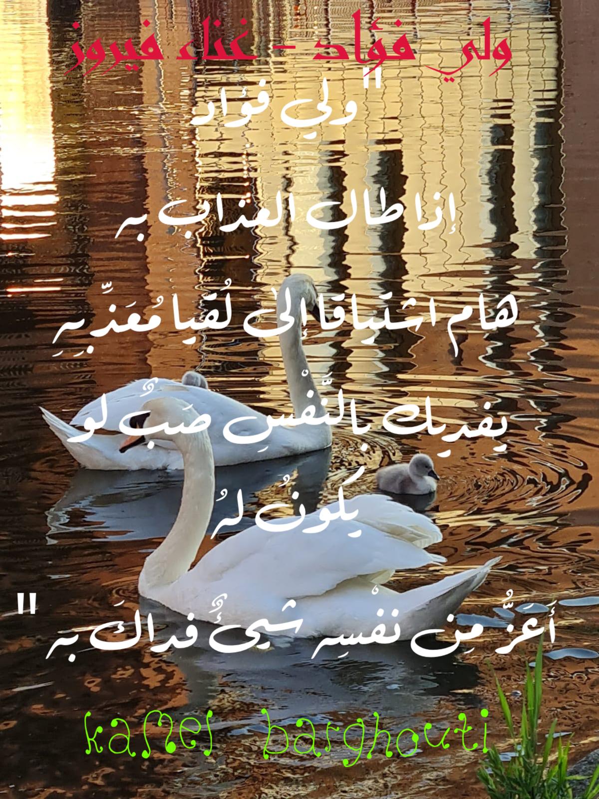 حب وحنين – اقتباس 338