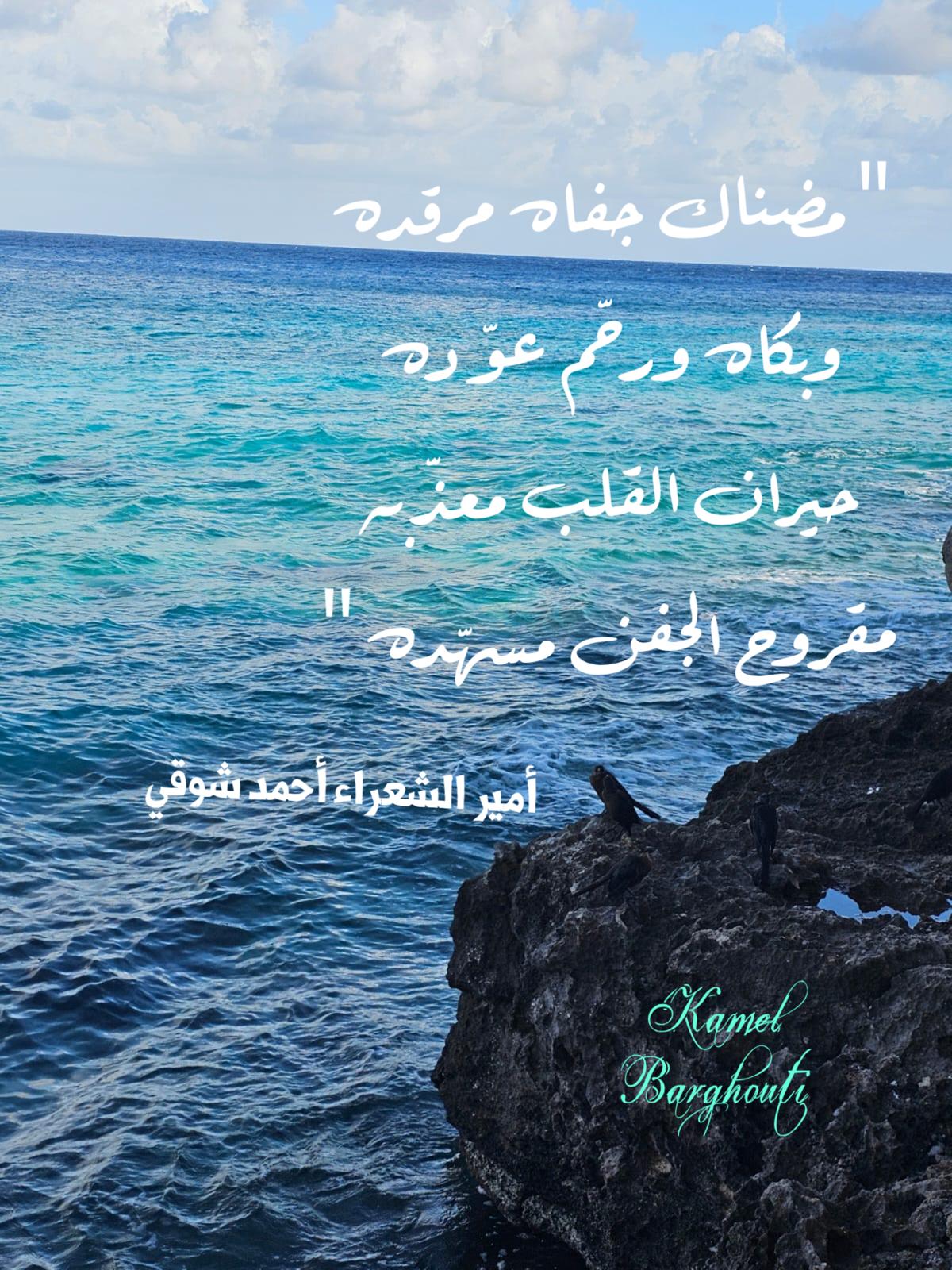 حب وحنين – اقتباس 343