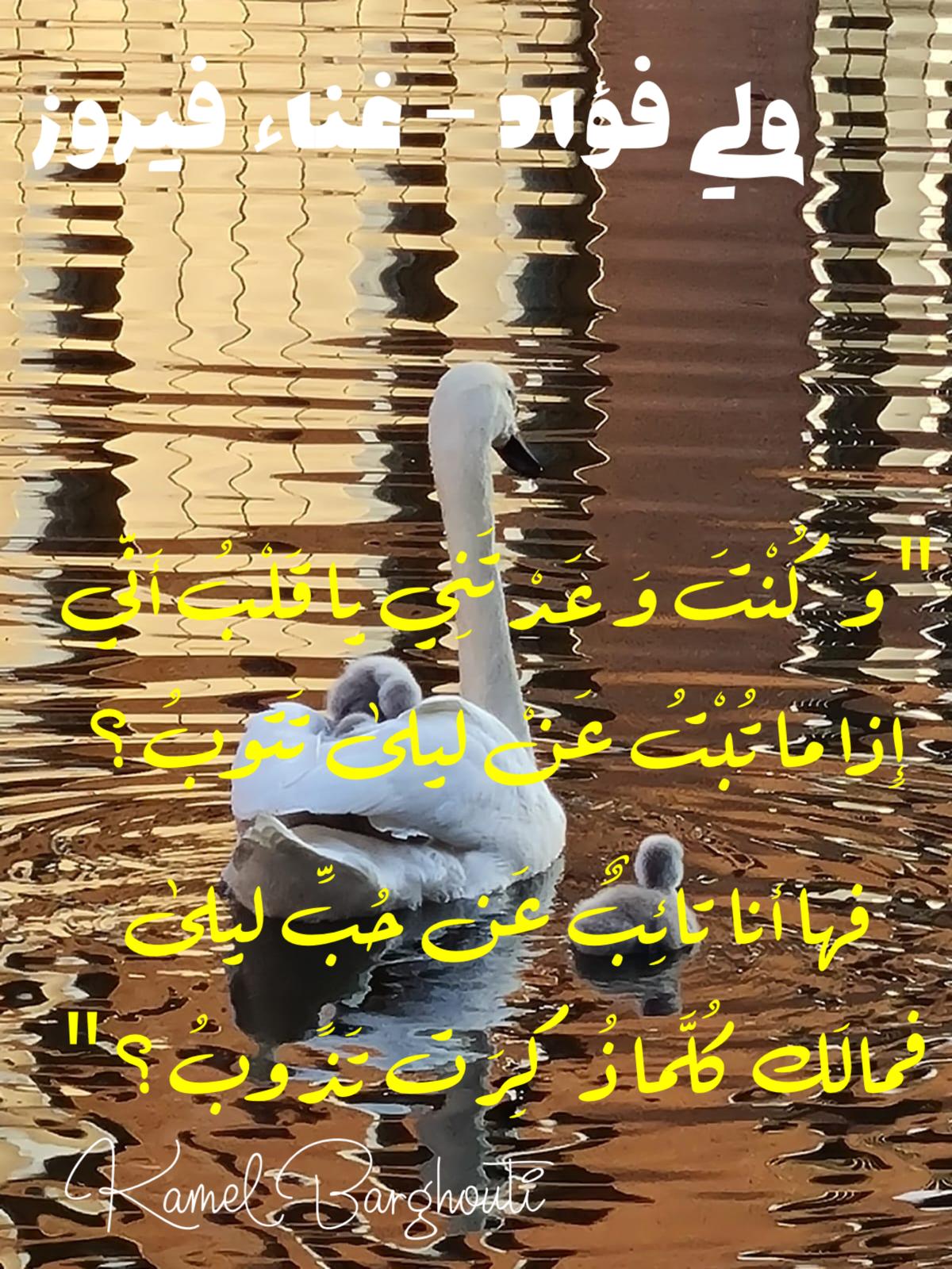 حب وحنين – اقتباس 356