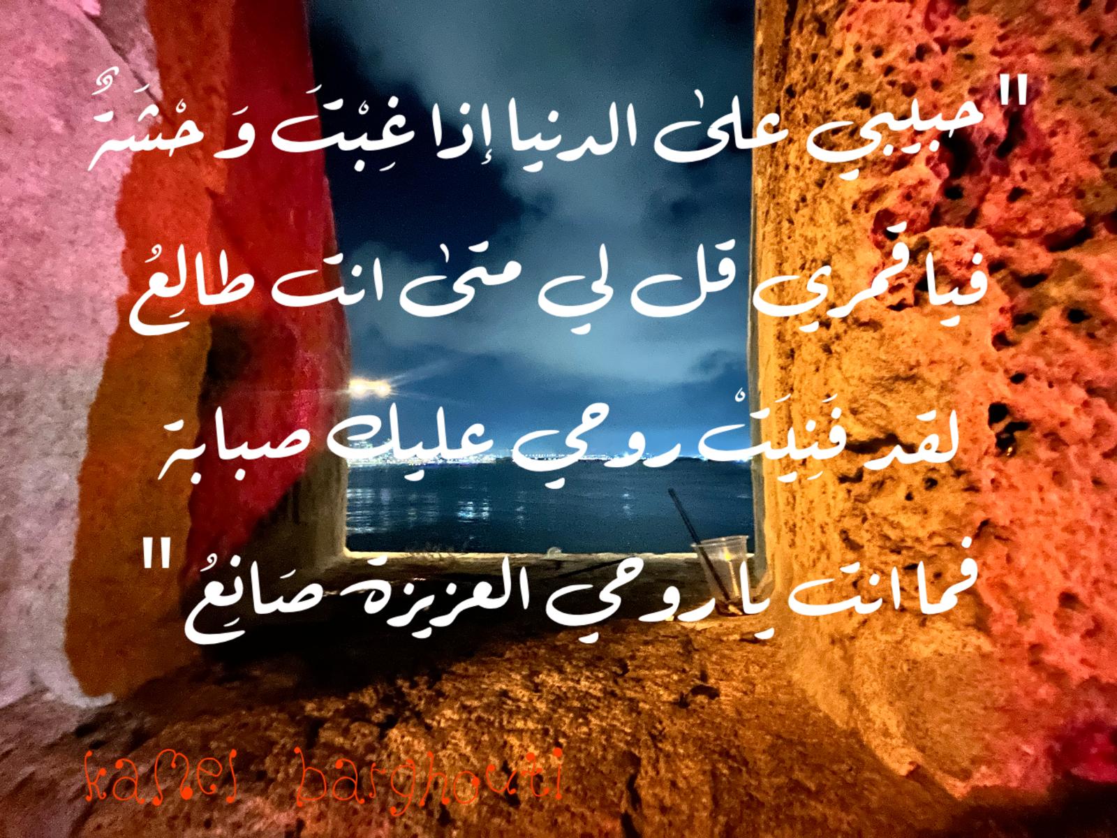 حب وحنين – اقتباس 331