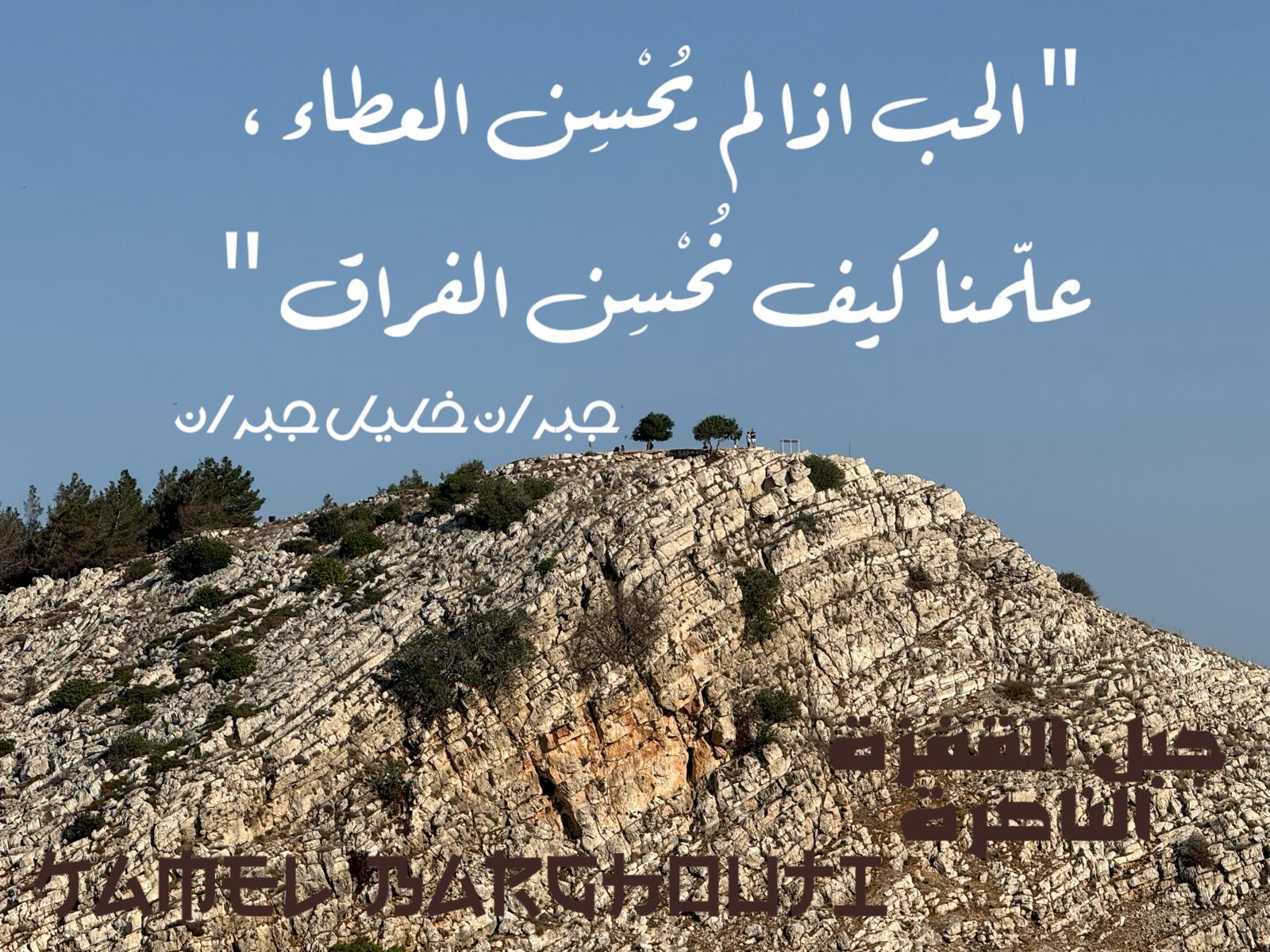 حب وحنين – اقتباس 351