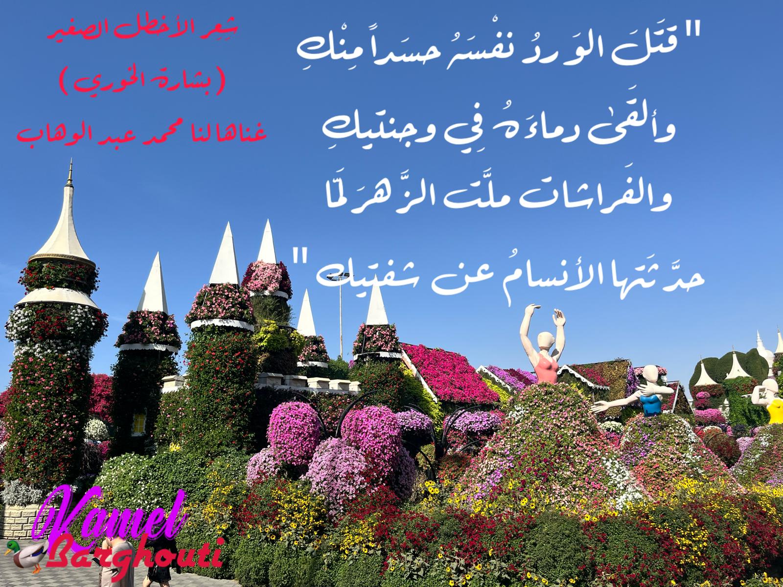 حب وحنين – اقتباس 304