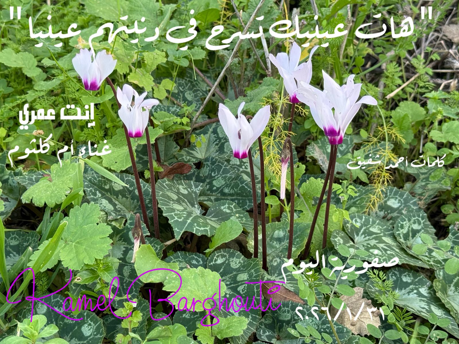 حب وحنين – اقتباس 313