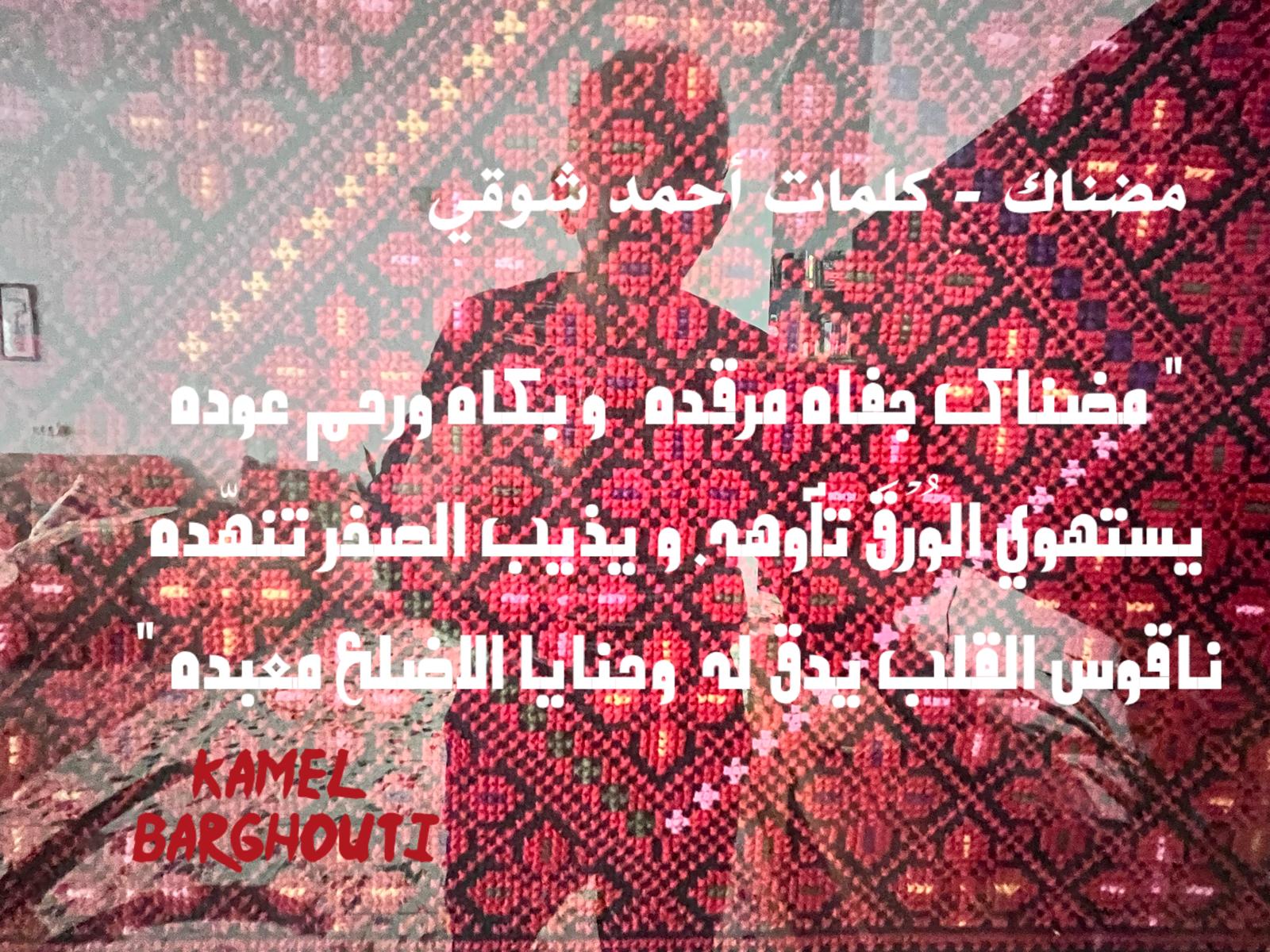 حب وحنين – اقتباس 307
