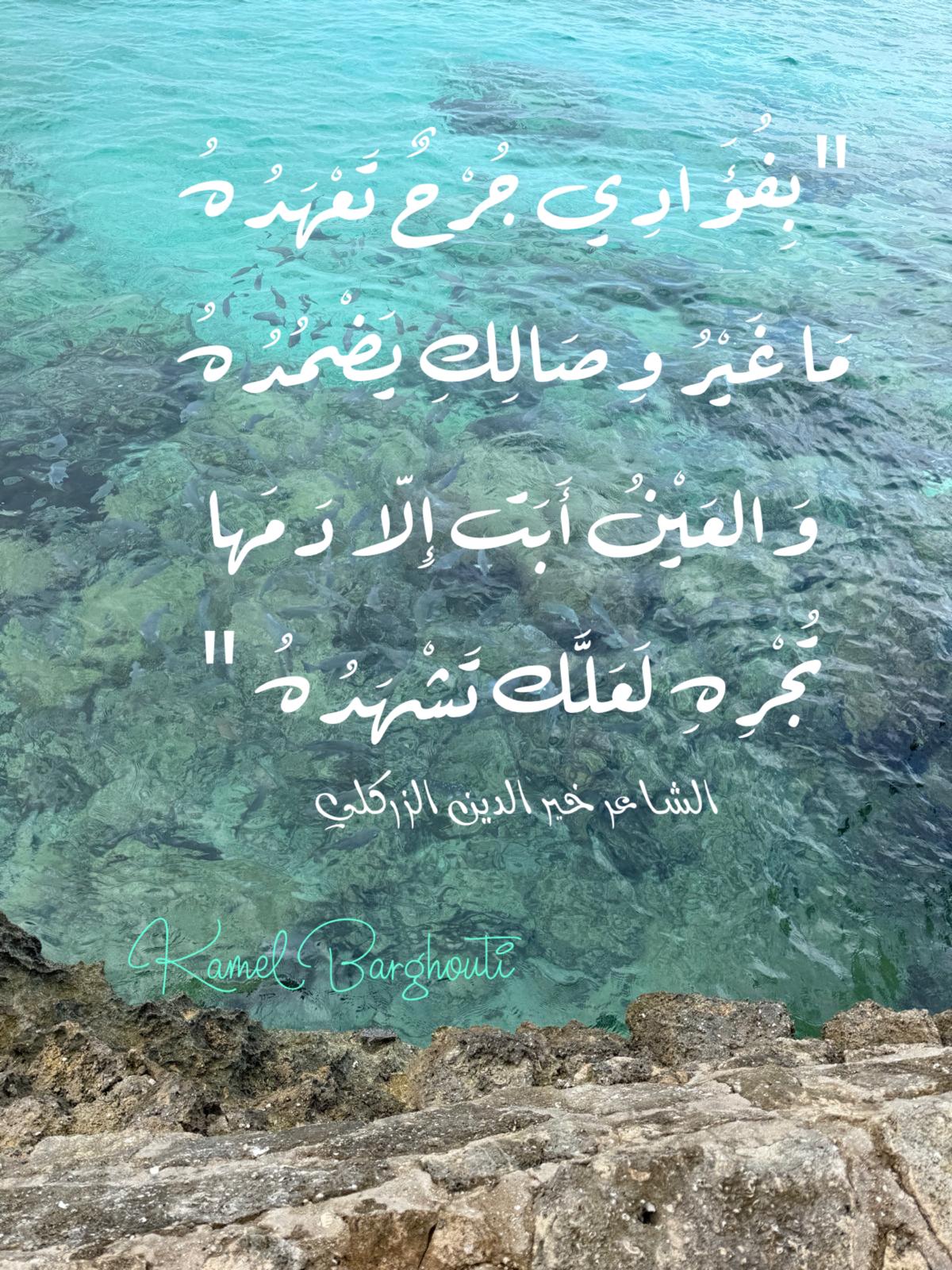 حب وحنين – اقتباس 303