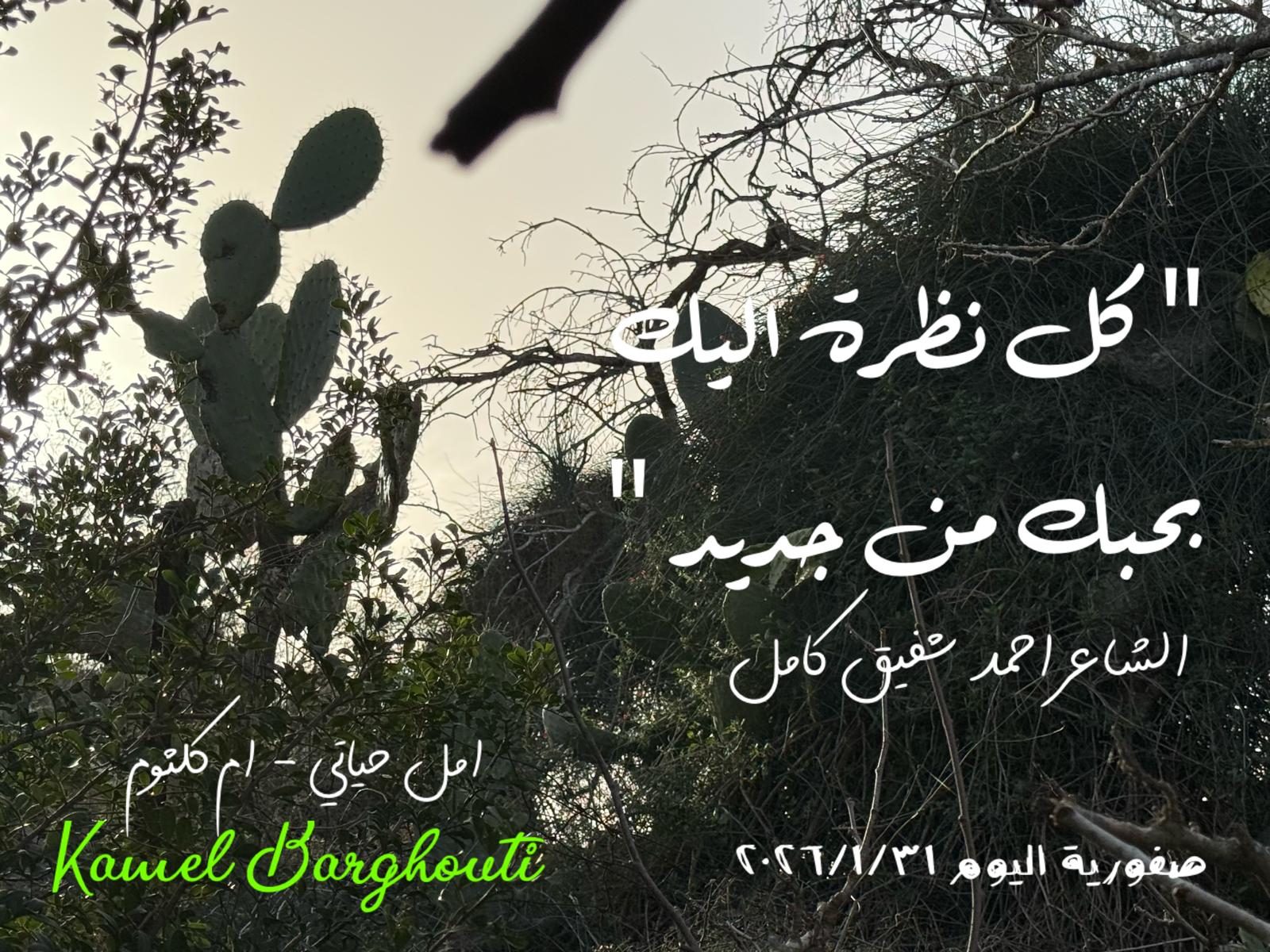 حب وحنين – اقتباس 298