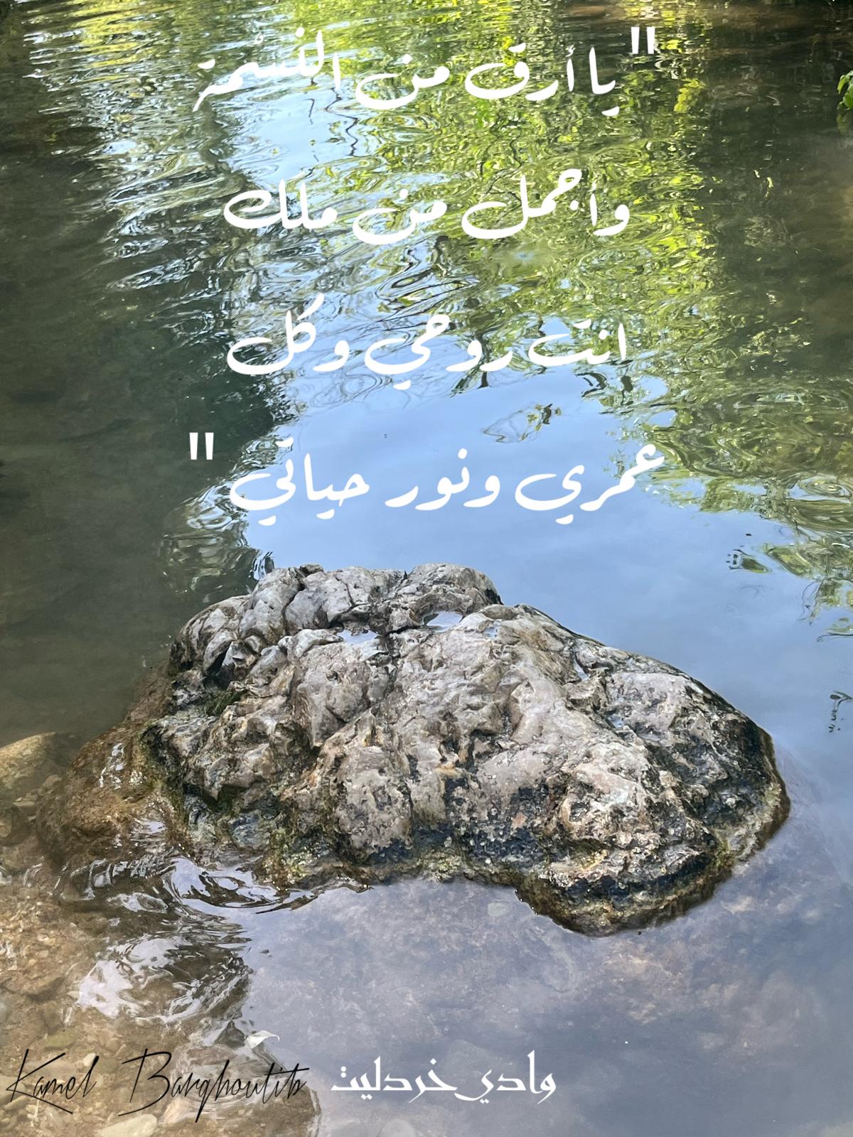 حب وحنين – اقتباس 322