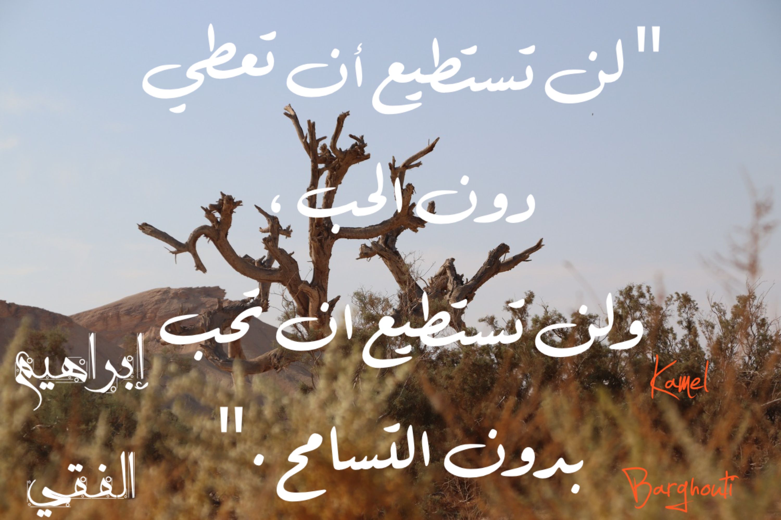 حب وحنين – اقتباس 288