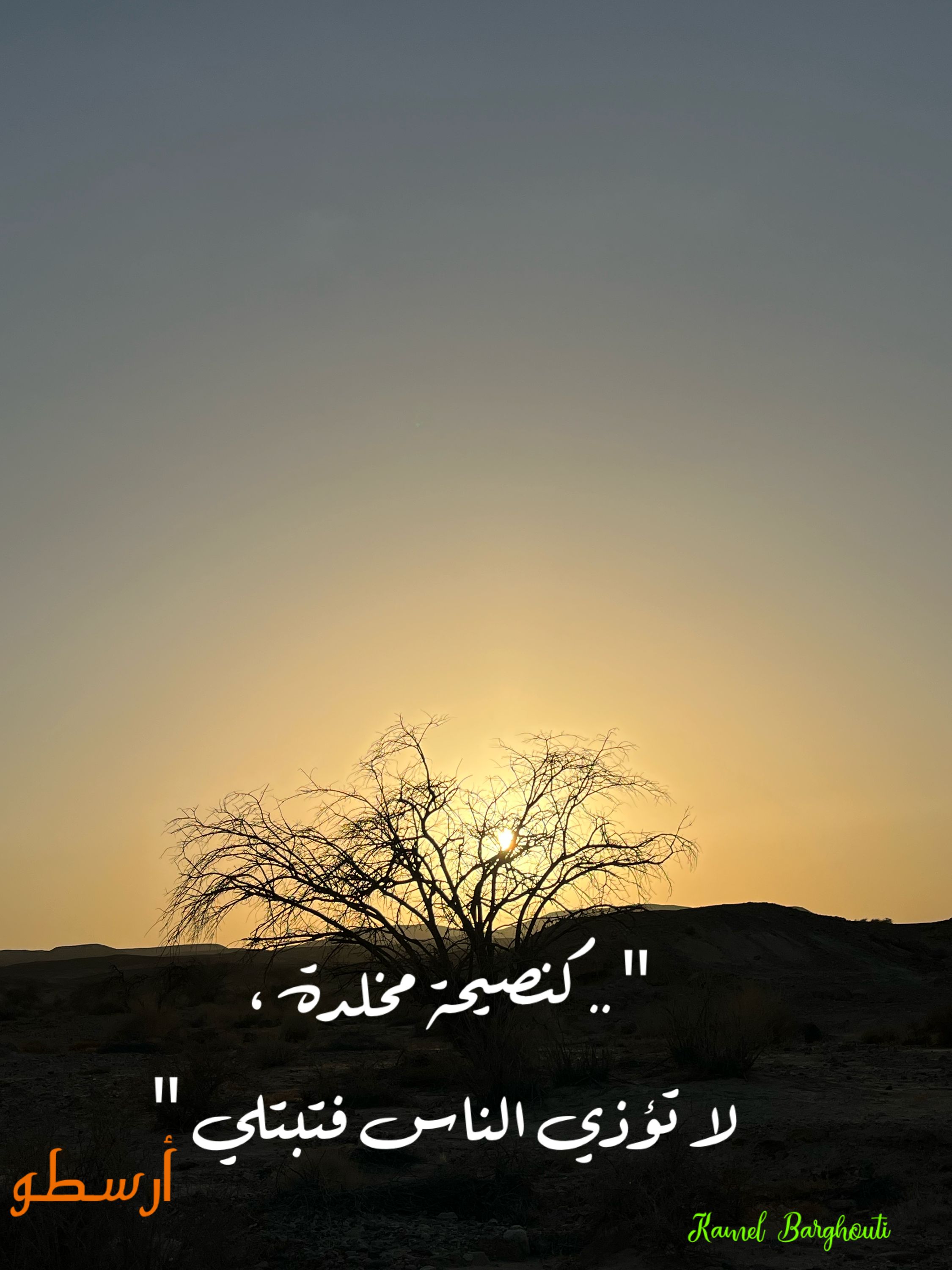 حب وحنين – اقتباس 297