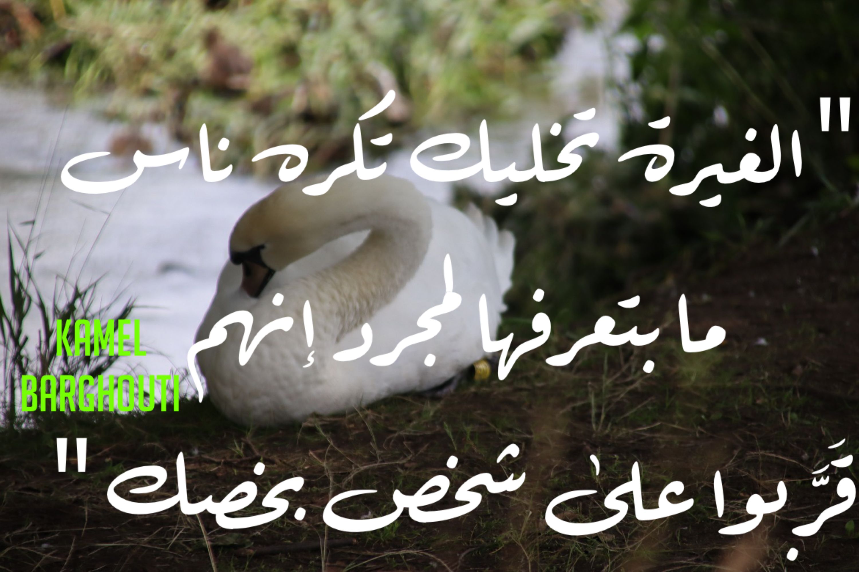 حب وحنين – اقتباس 294