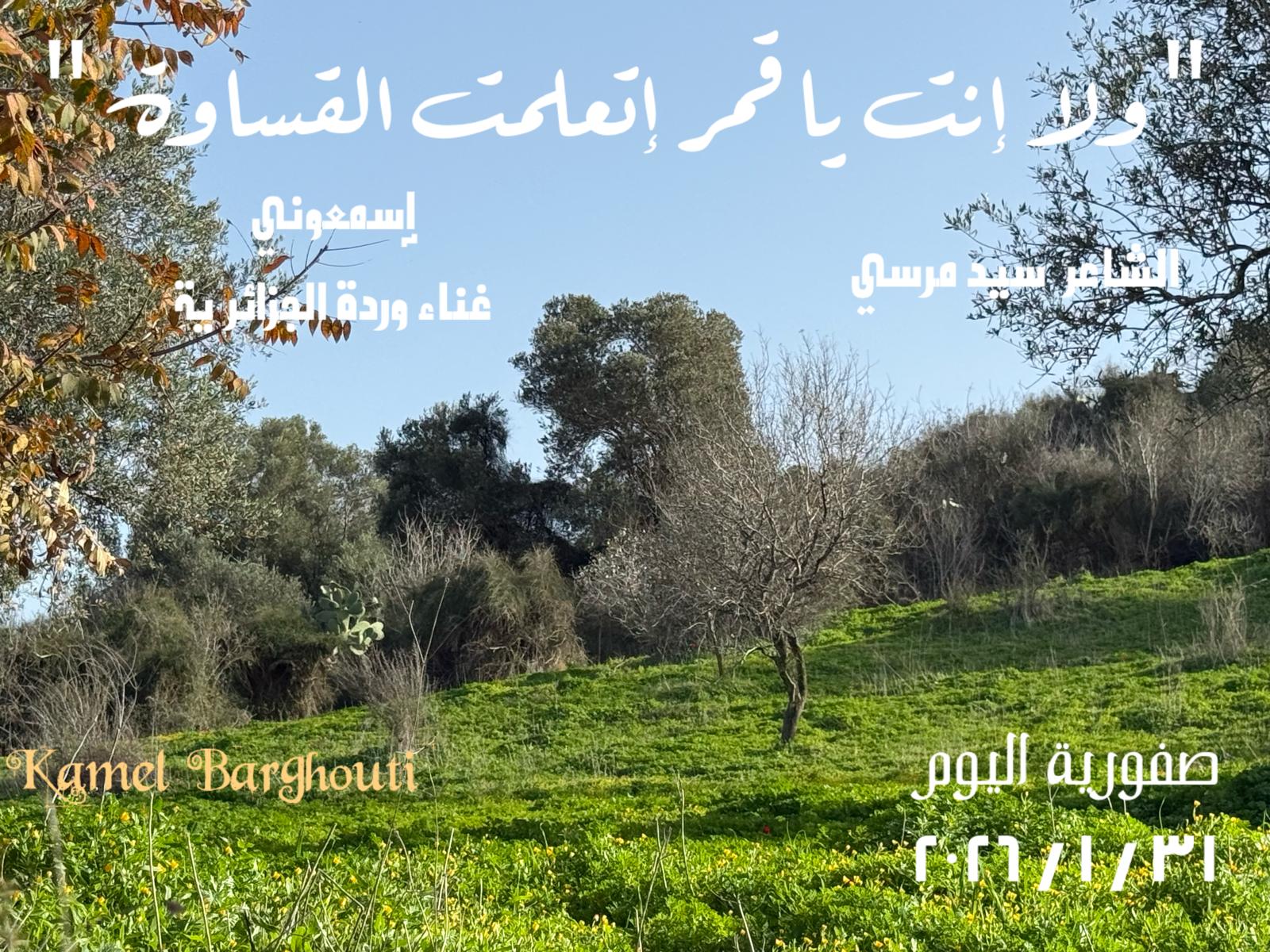 حب وحنين – اقتباس 291