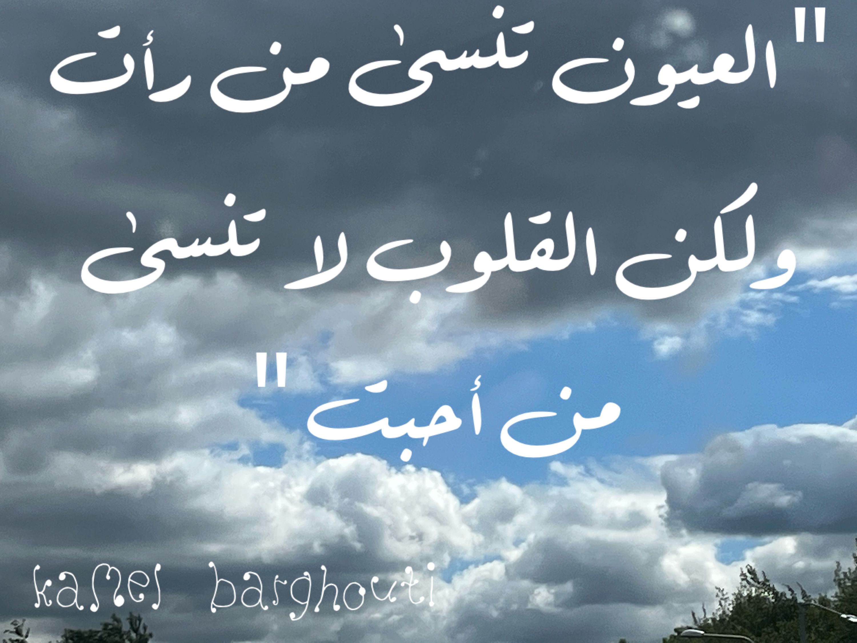 حب وحنين – اقتباس 274