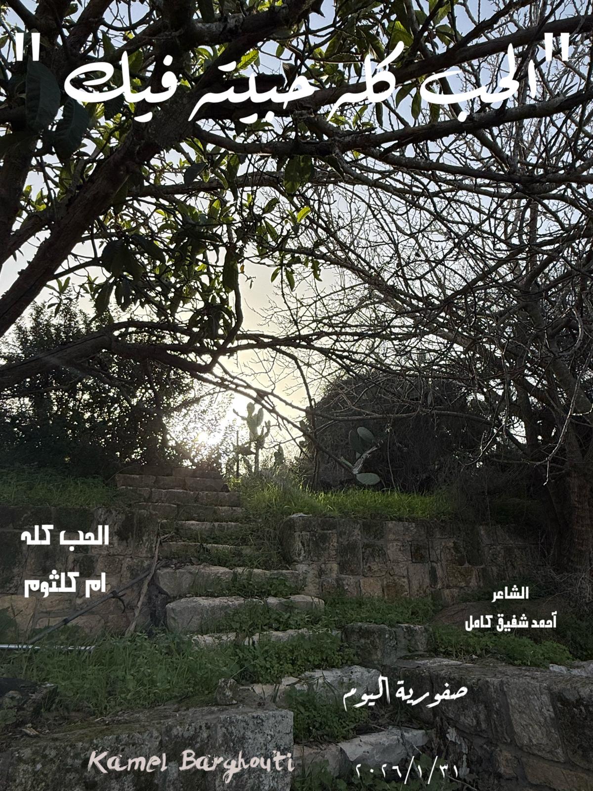 حب وحنين – اقتباس 283