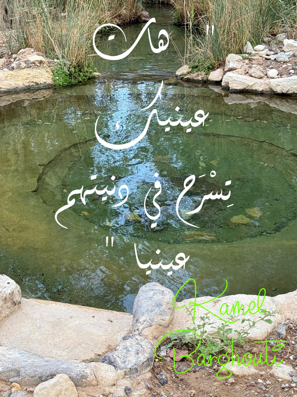 حب وحنين – اقتباس 278