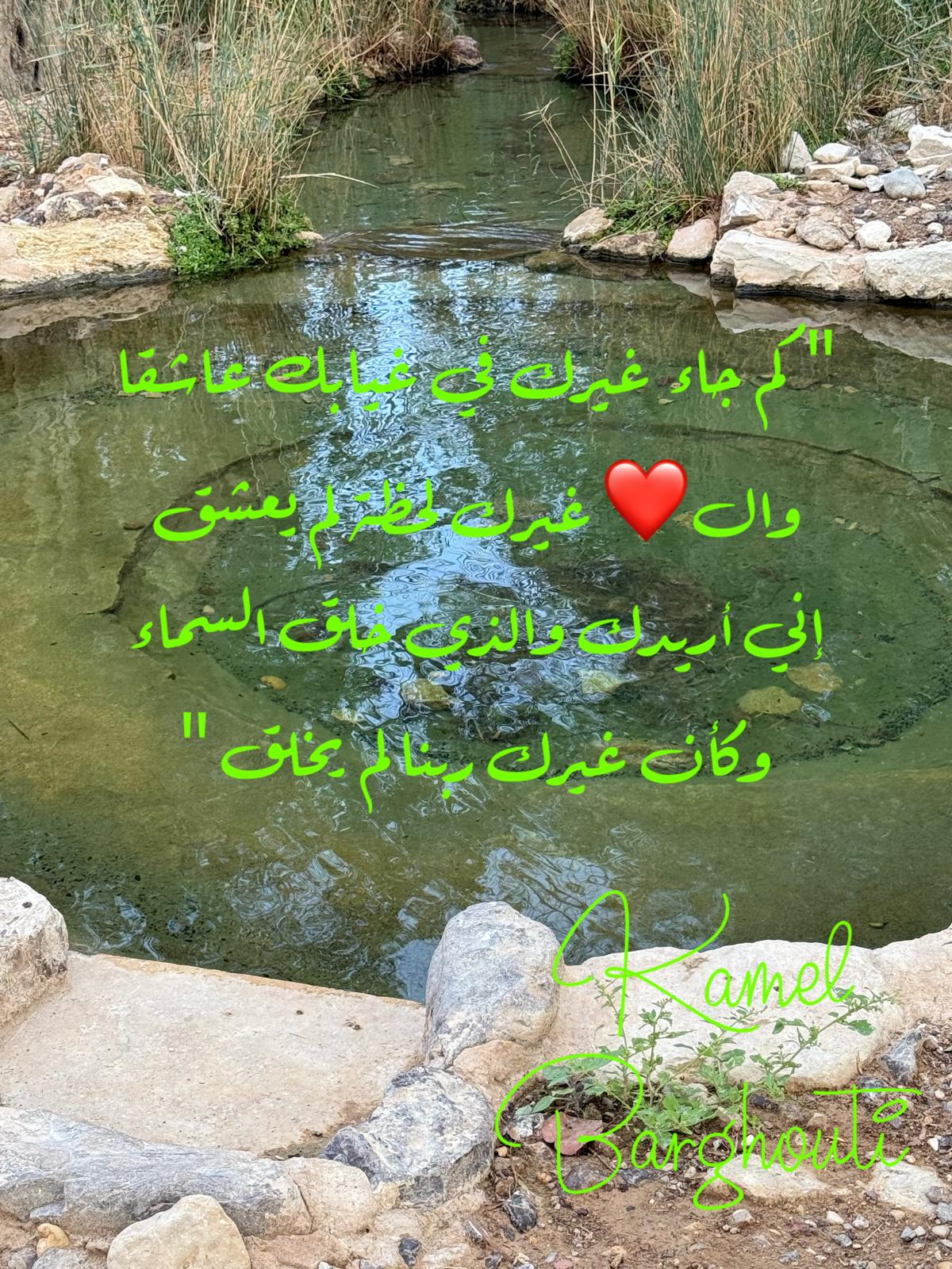 حب وحنين – اقتباس 281