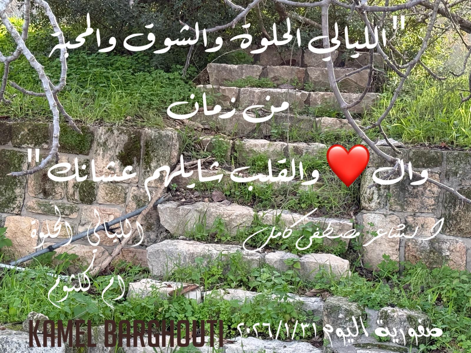 حب وحنين – اقتباس 267