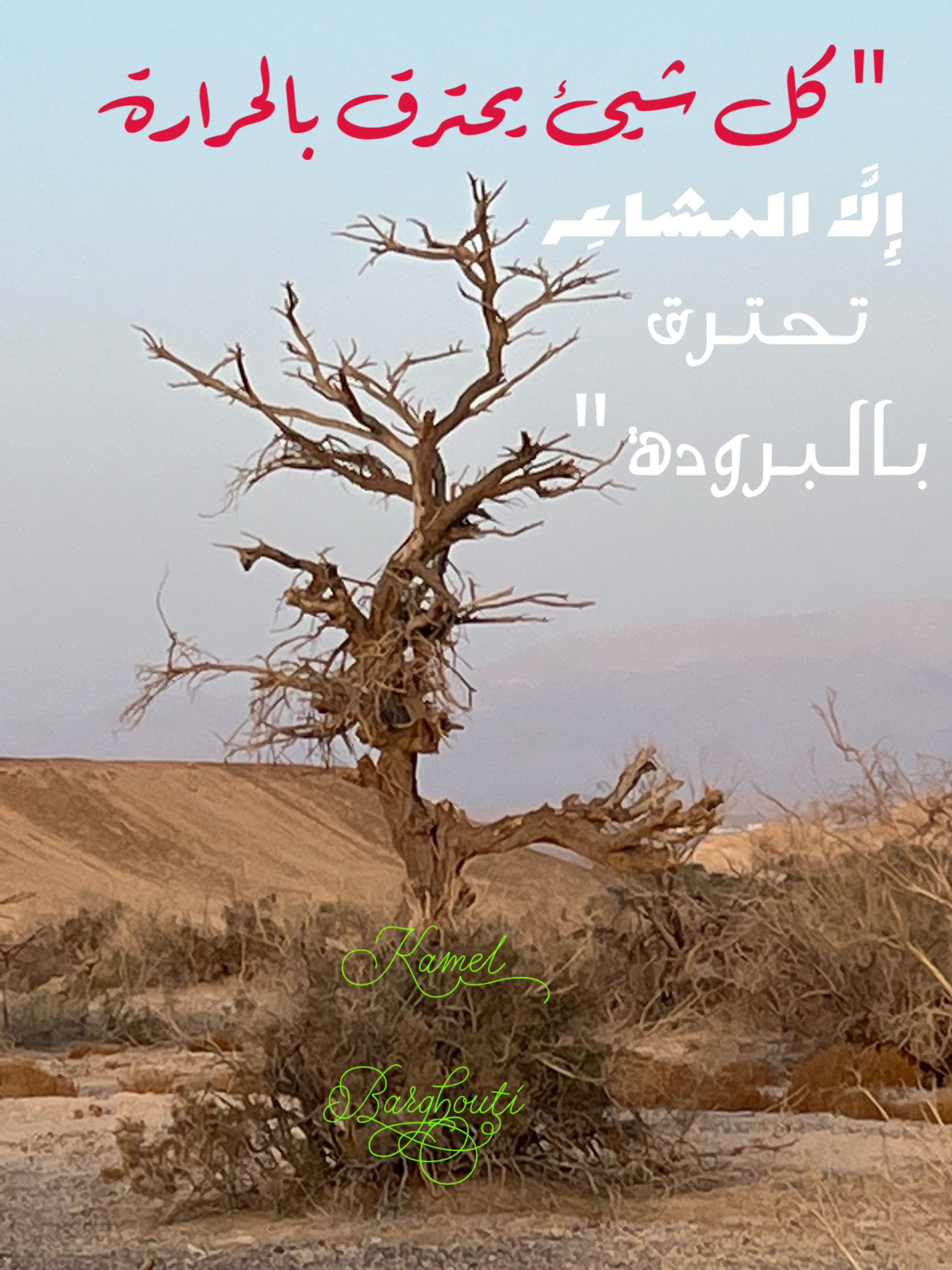 حب وحنين – اقتباس 256