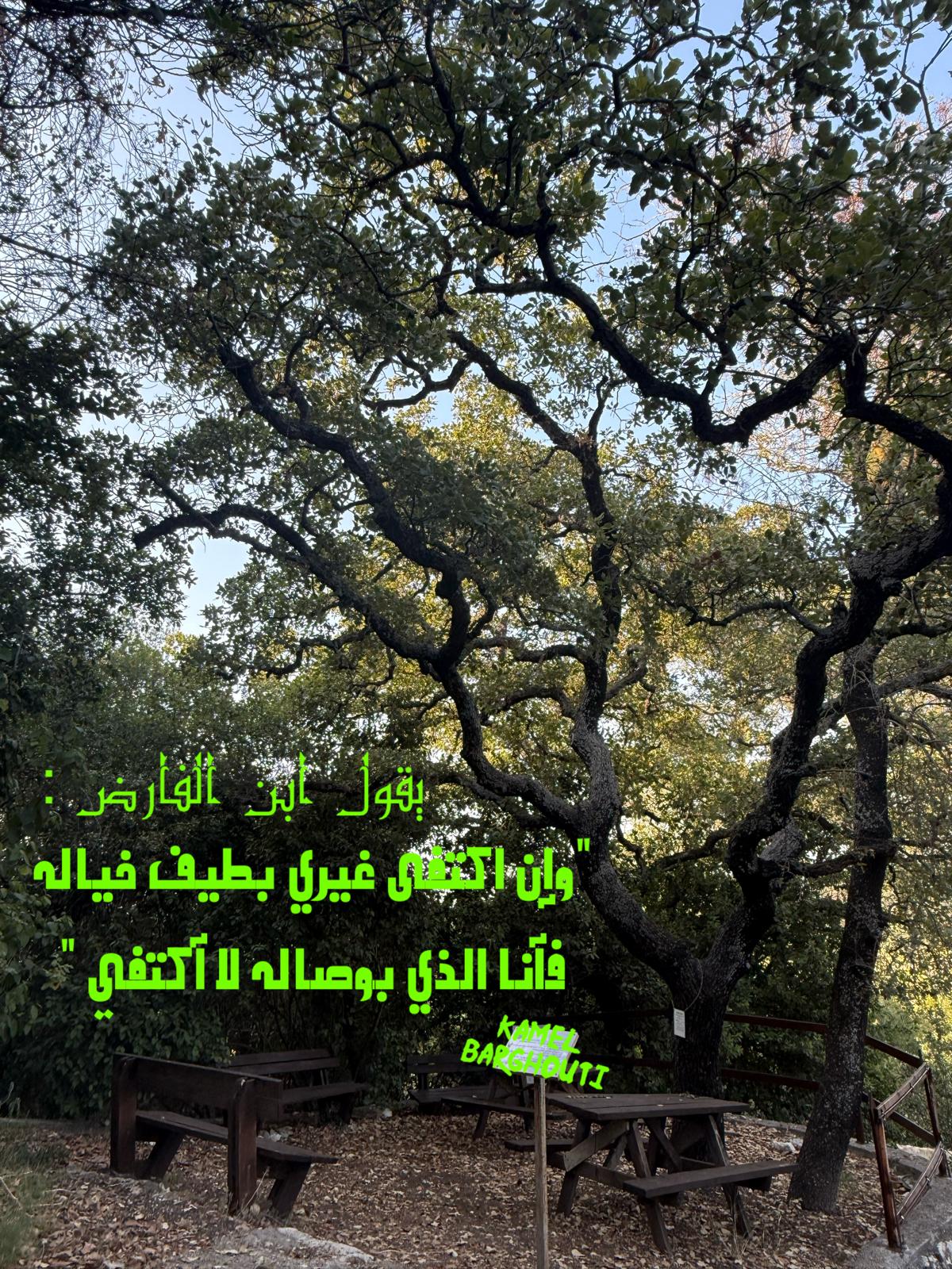 حب وحنين – اقتباس 255