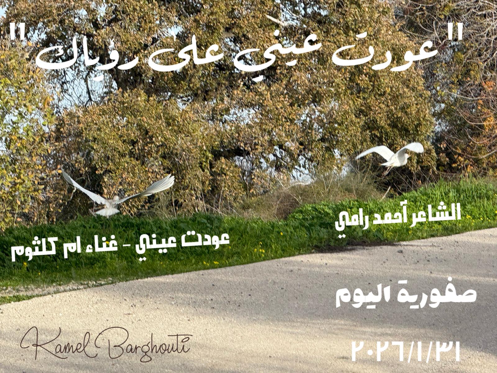 حب وحنين – اقتباس 268