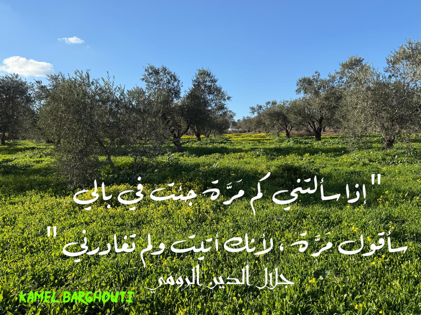 حب وحنين – اقتباس 237