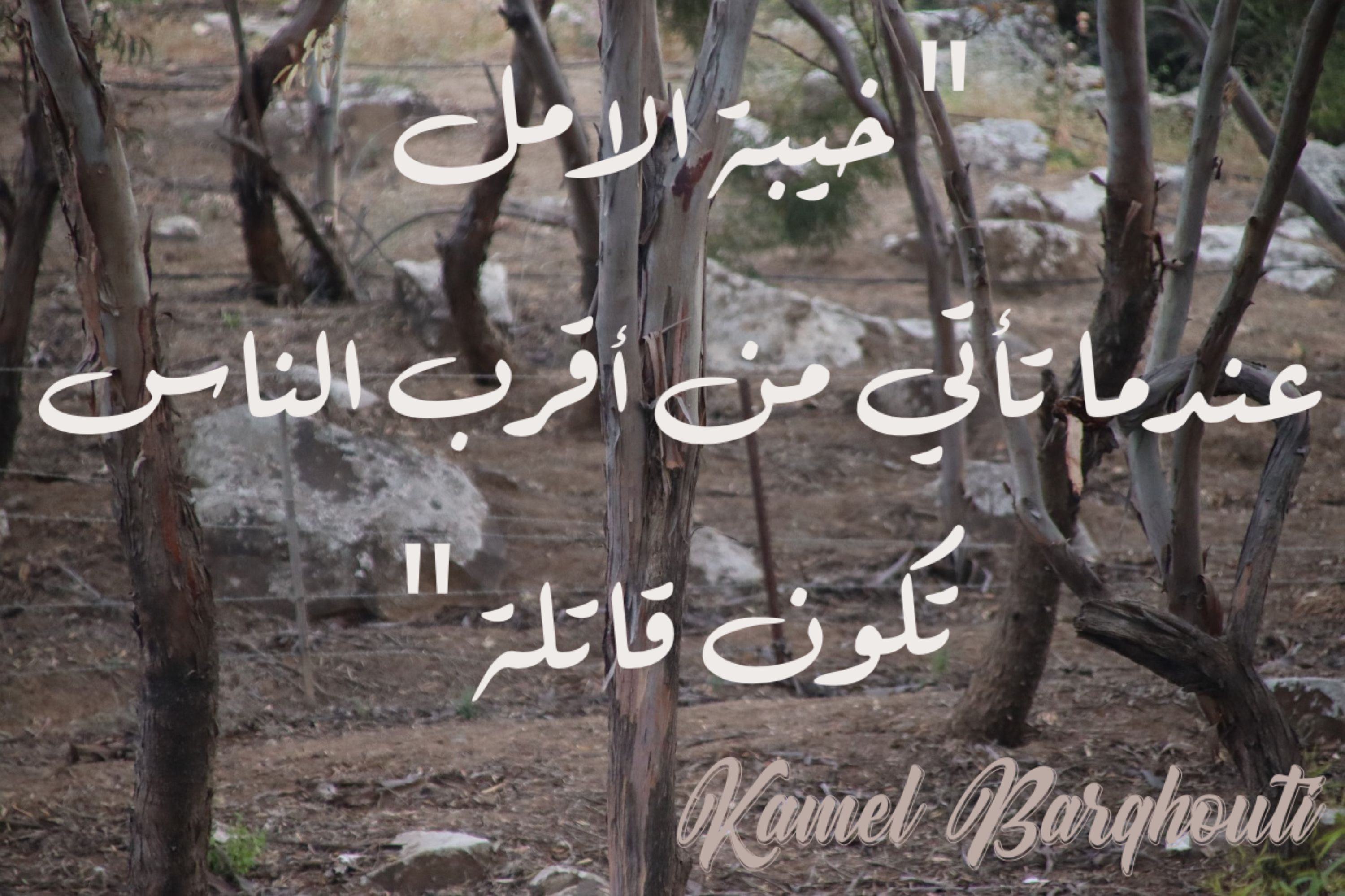 حب وحنين – اقتباس 240